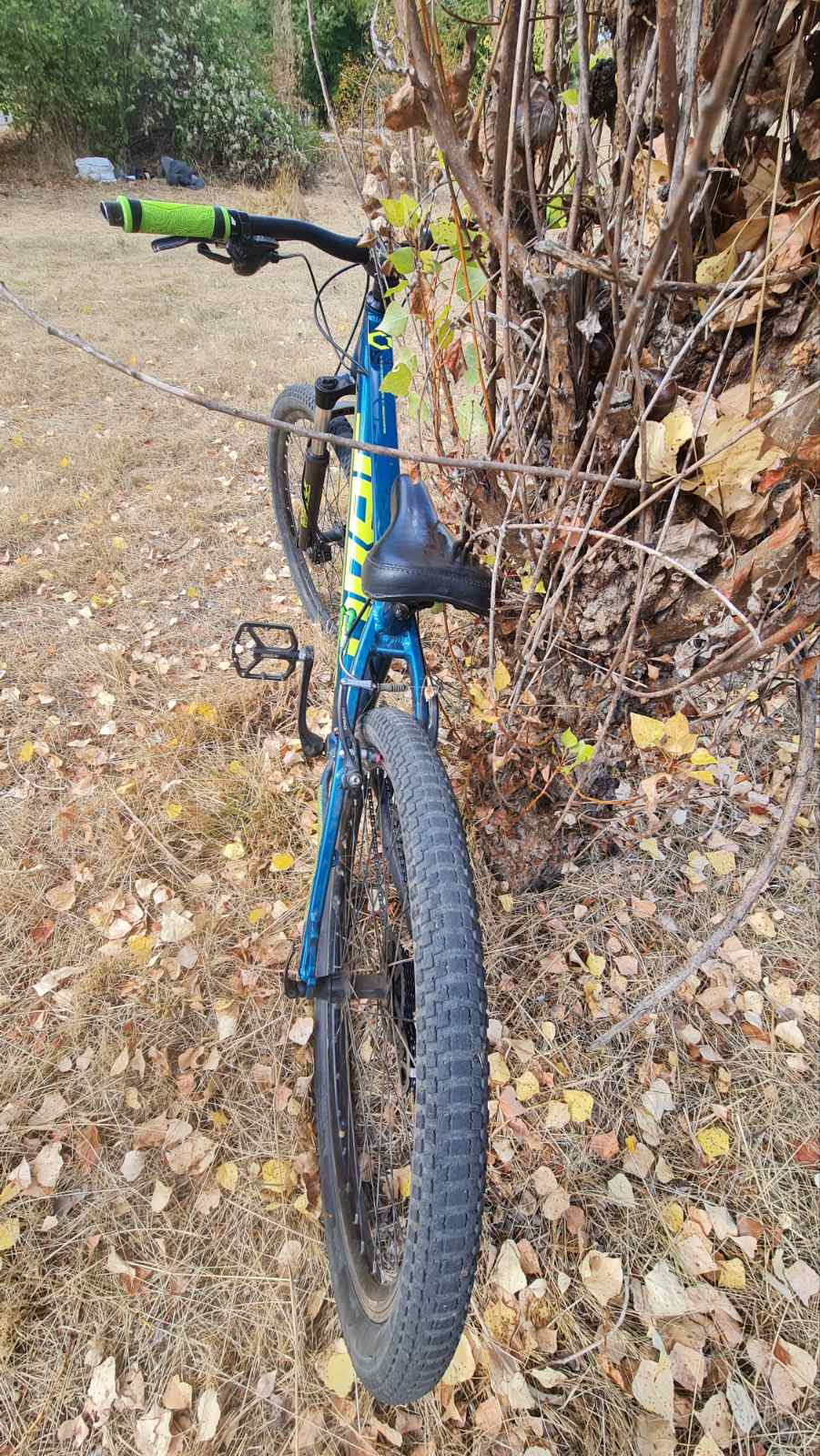 Bike view 6