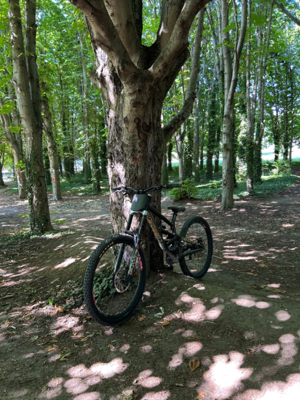 Bike view 3