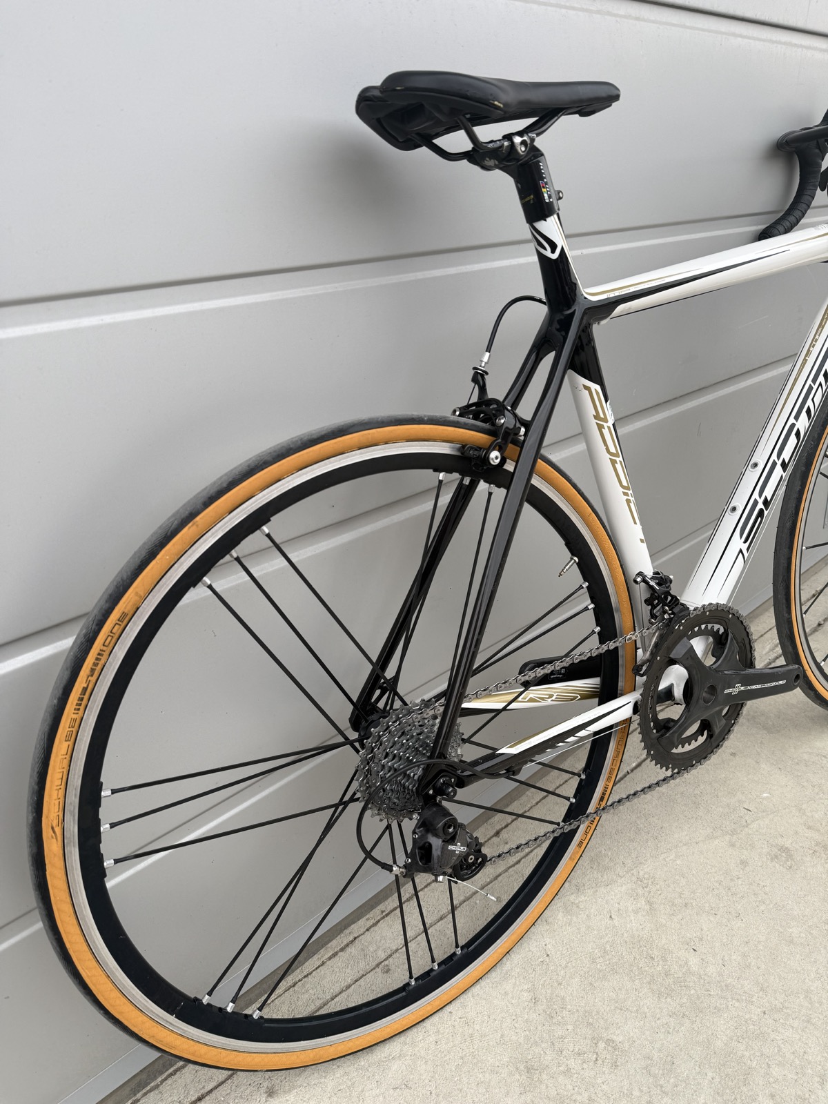 Bike view 9