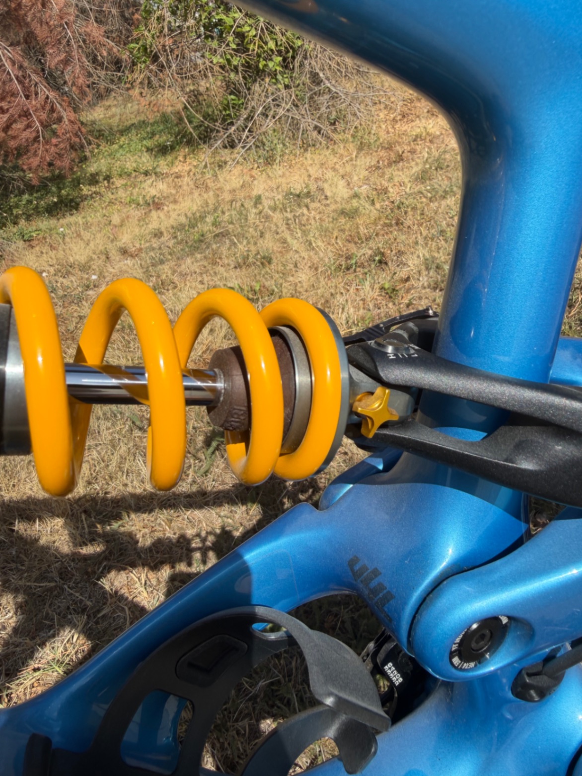 Bike view 10