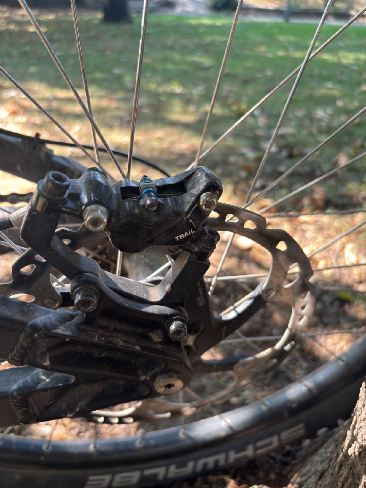 Bike view 6