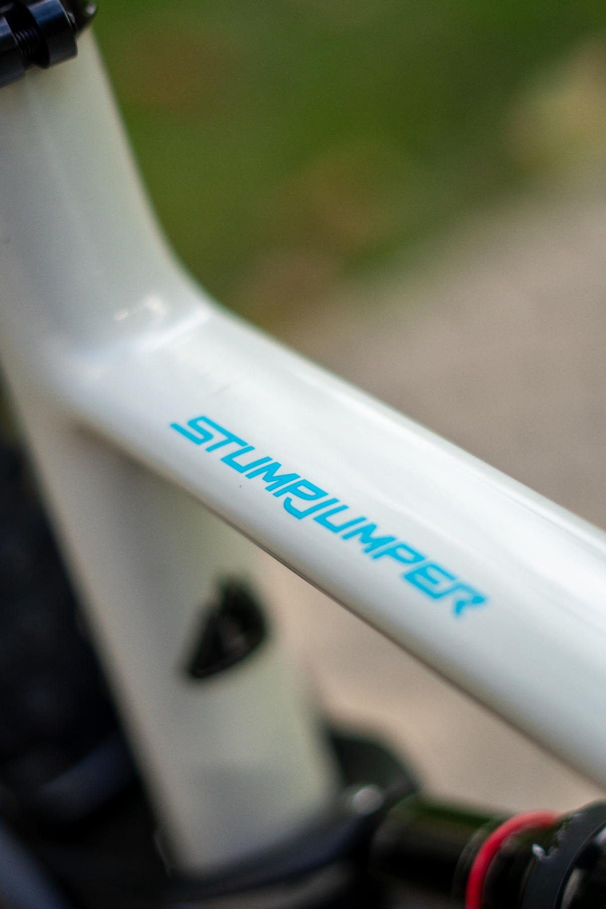 Specialized Stumpjumper Expert view 6