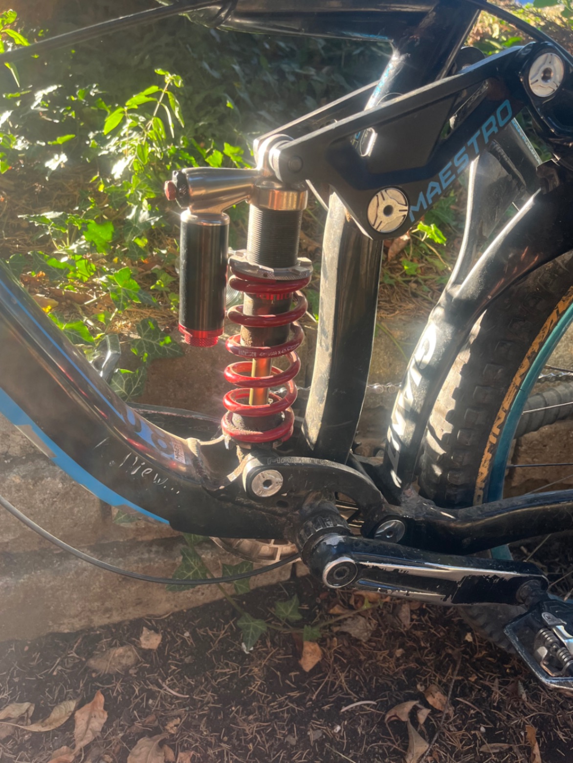 Bike view 5