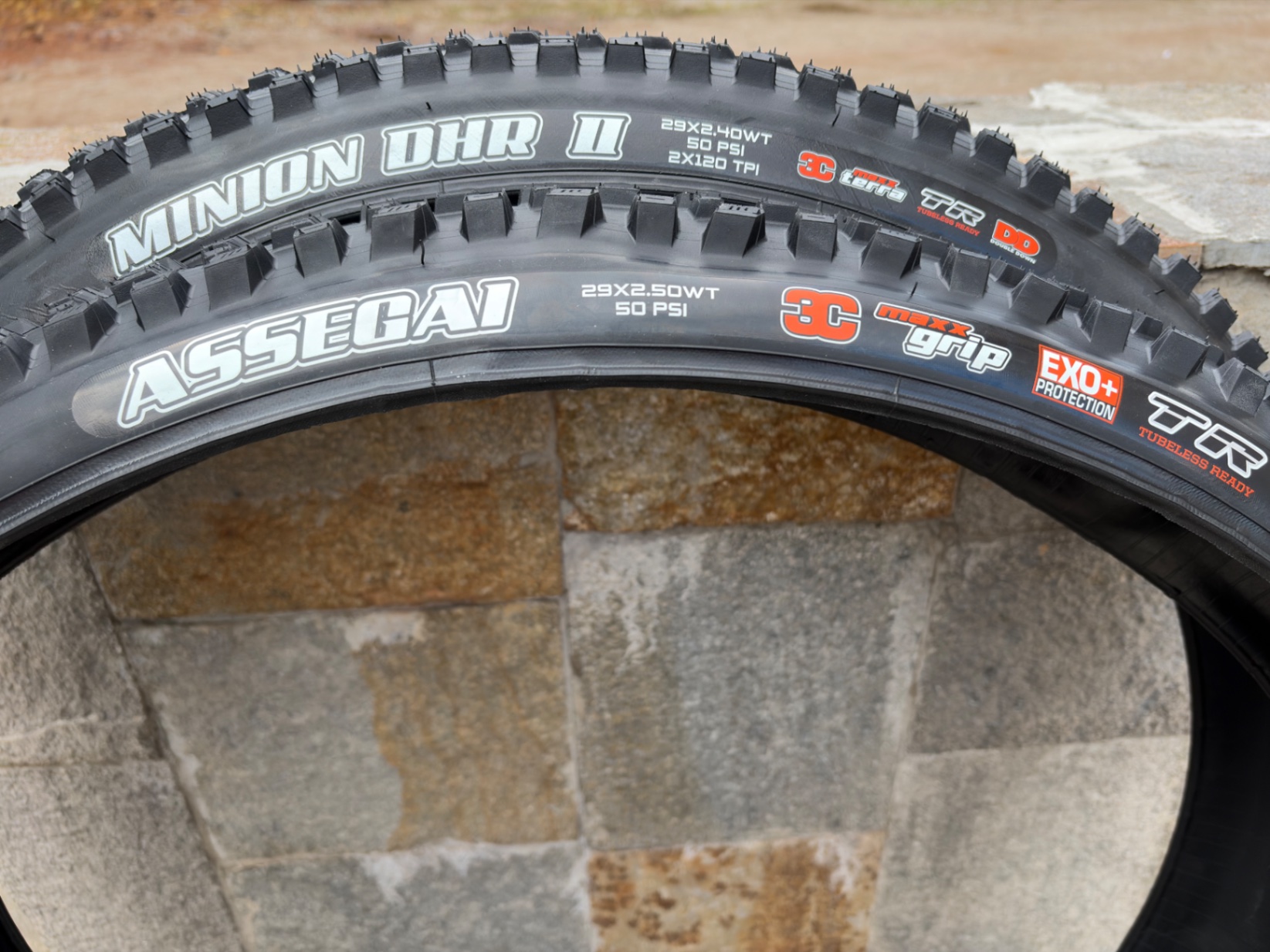 Maxxis Assegai + Minion DHR II view 2