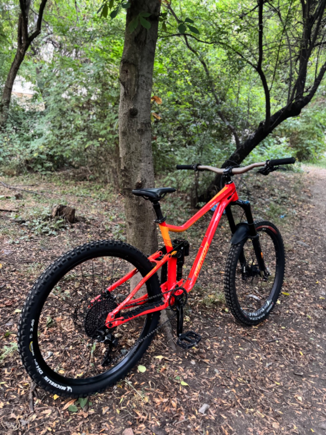 Bike view 8