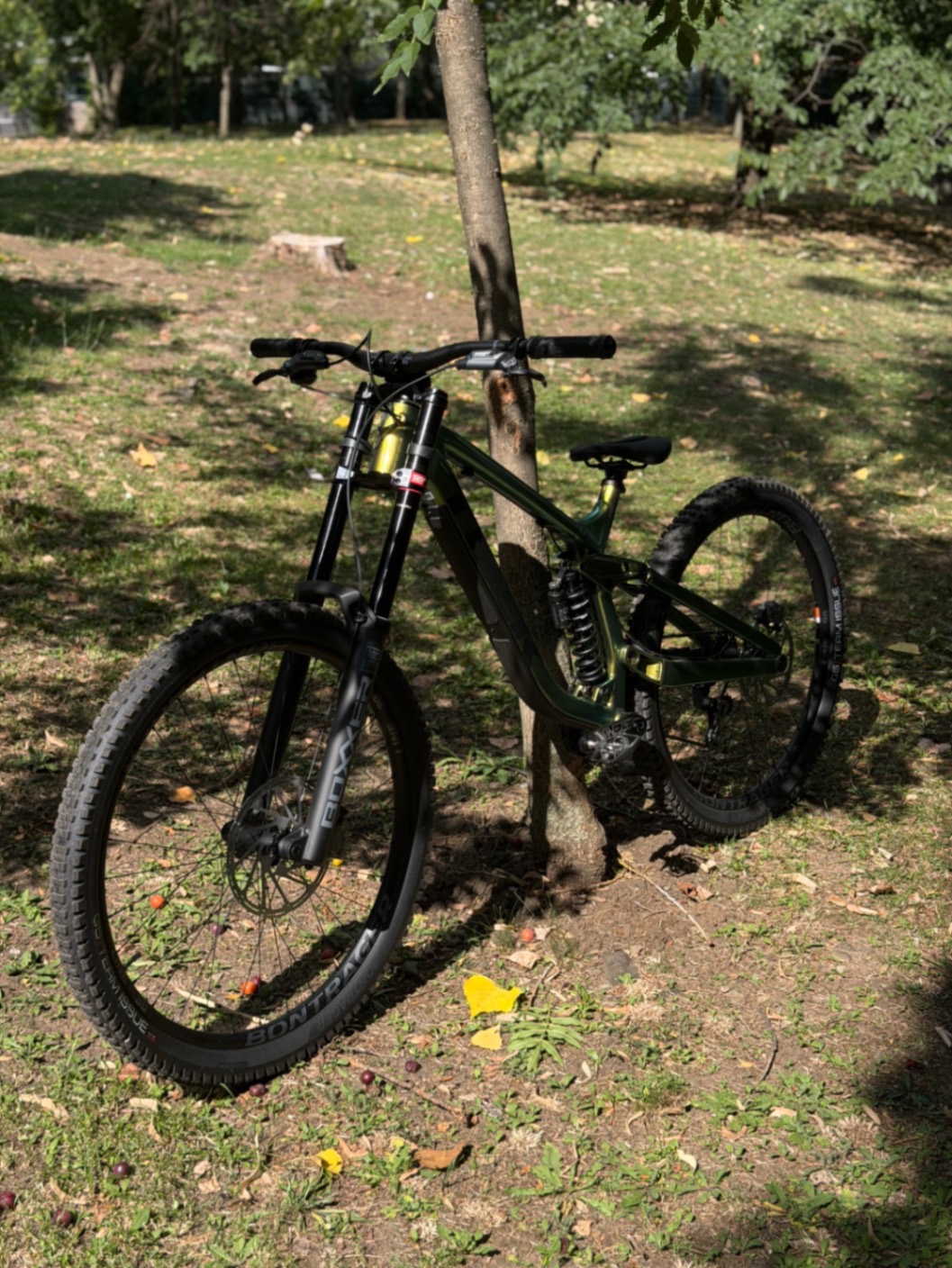Bike view 5