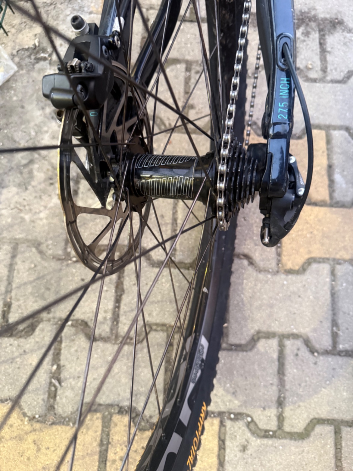Bike view 12