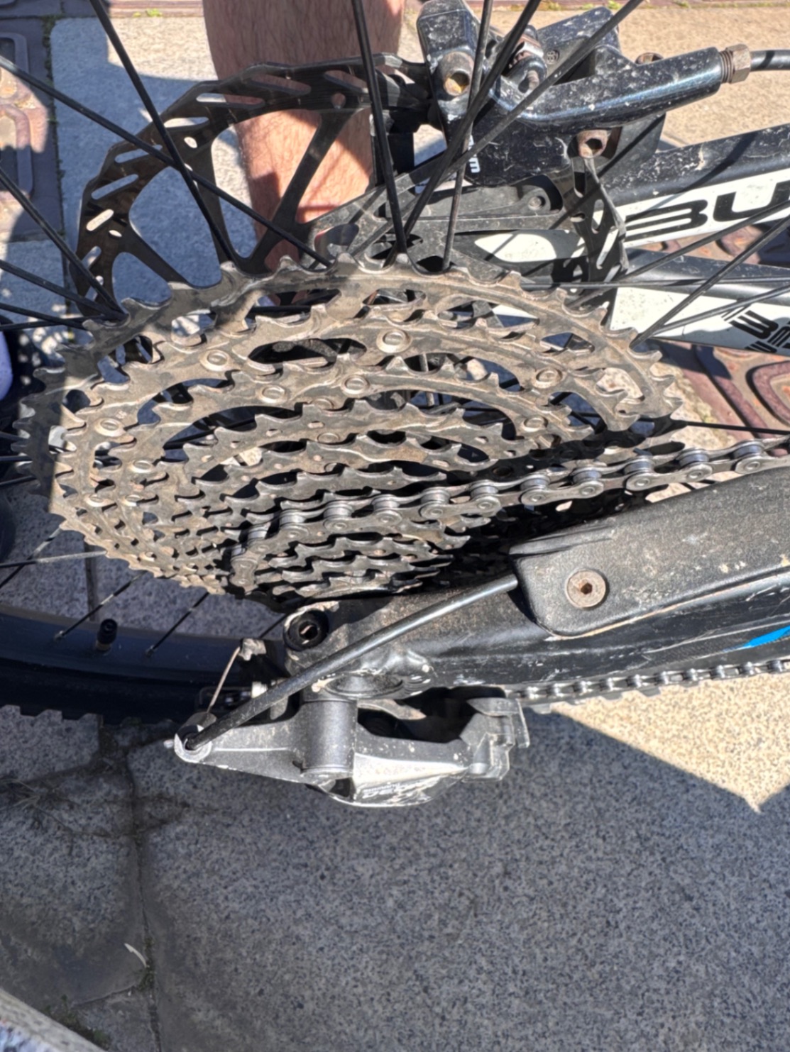Bike view 8