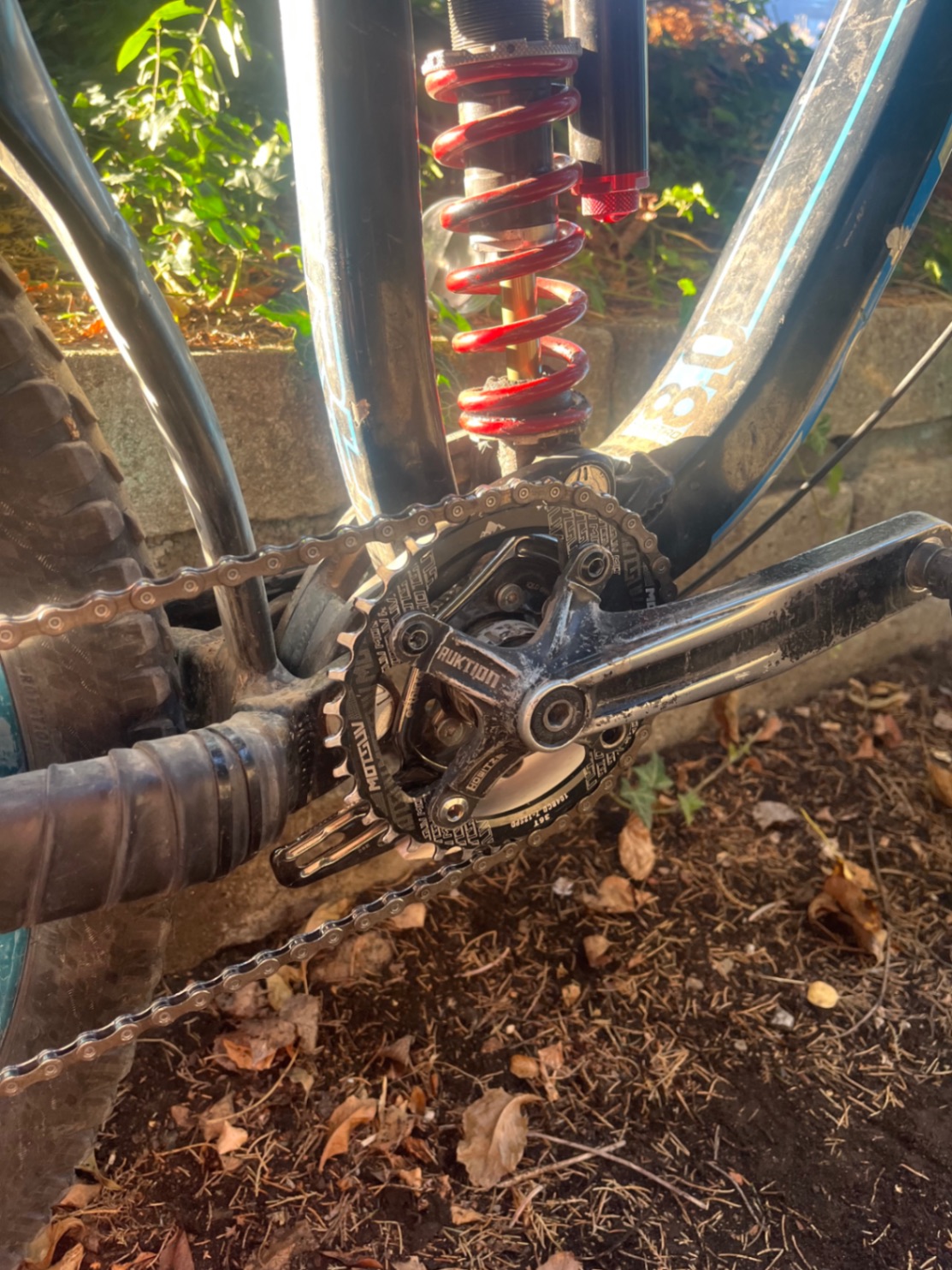 Bike view 9