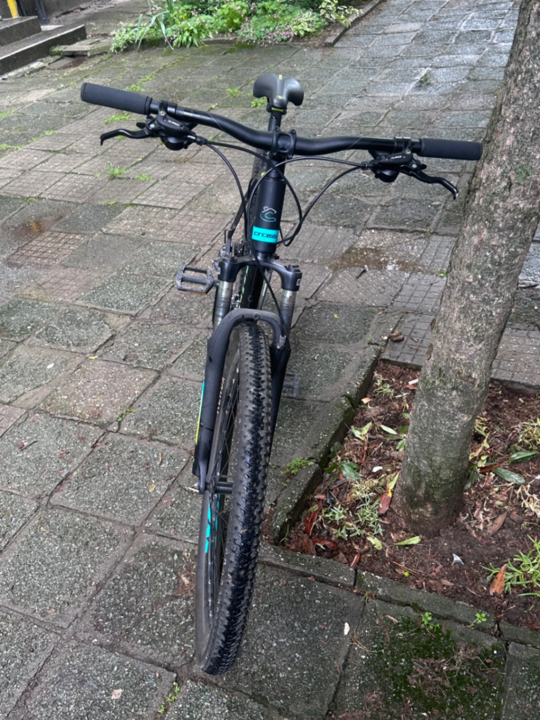 Bike view 2