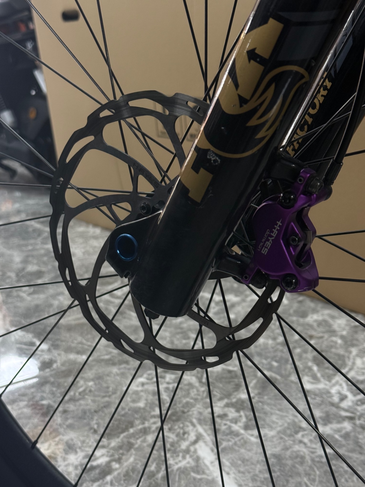Hayes A4 purple edition view 6