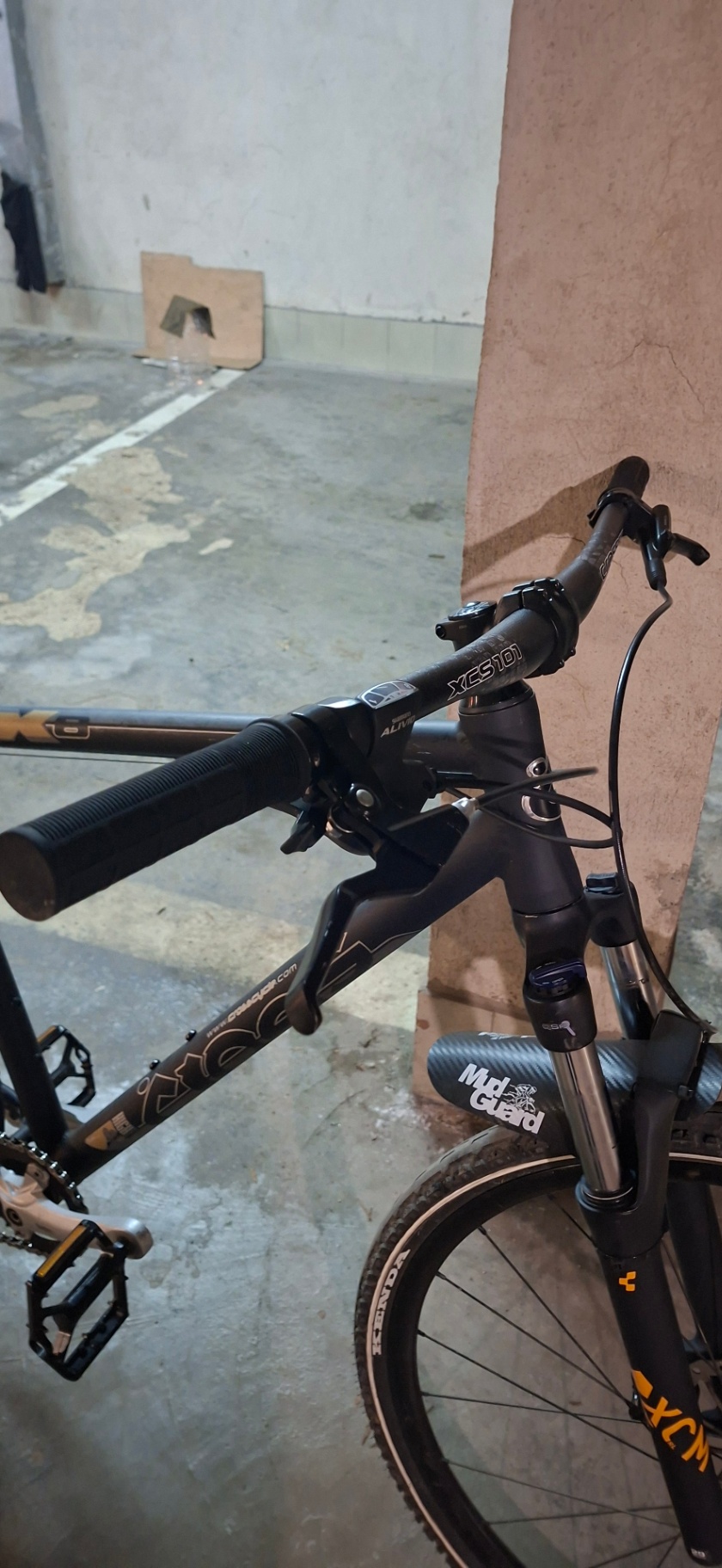 Bike view 10