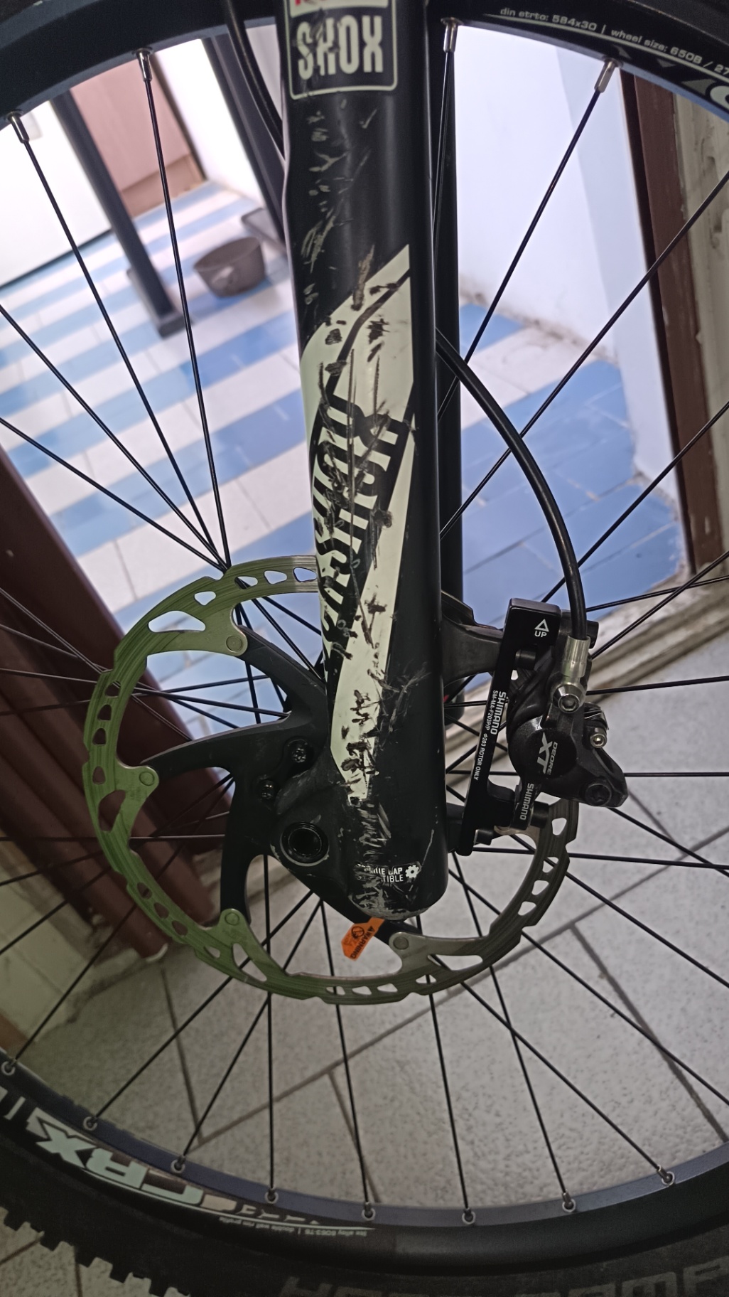 Bike view 10