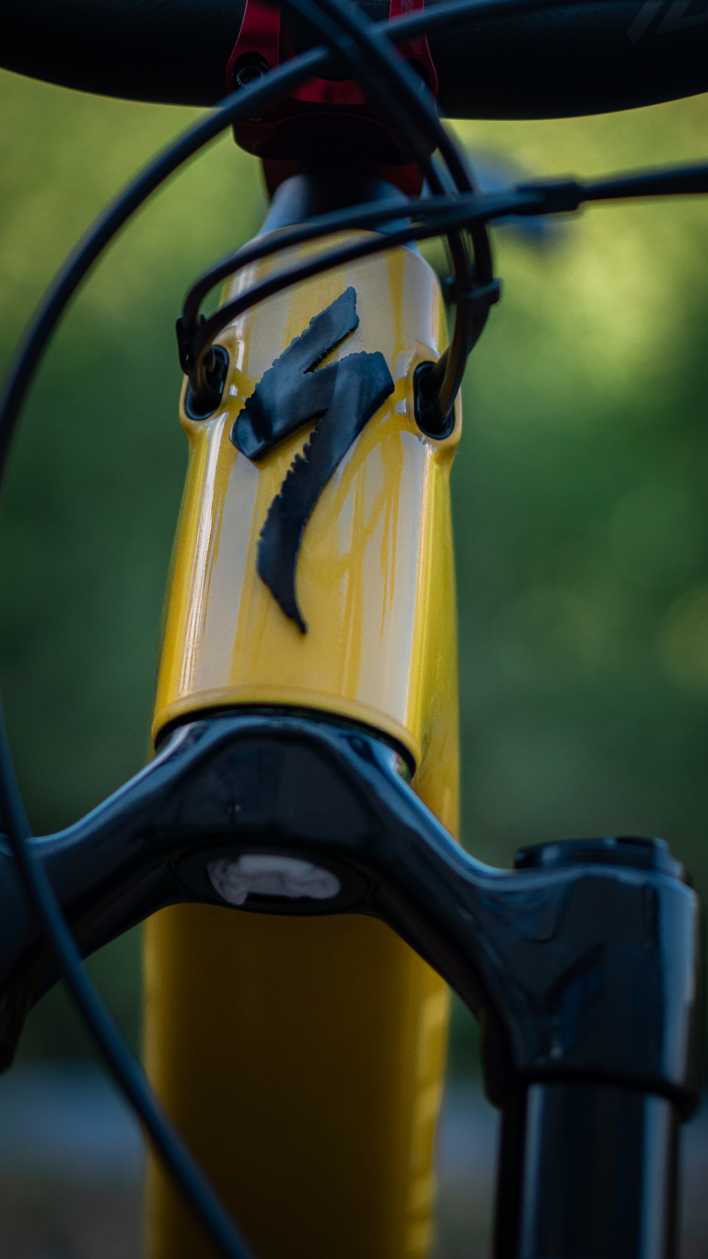 Bike view 2