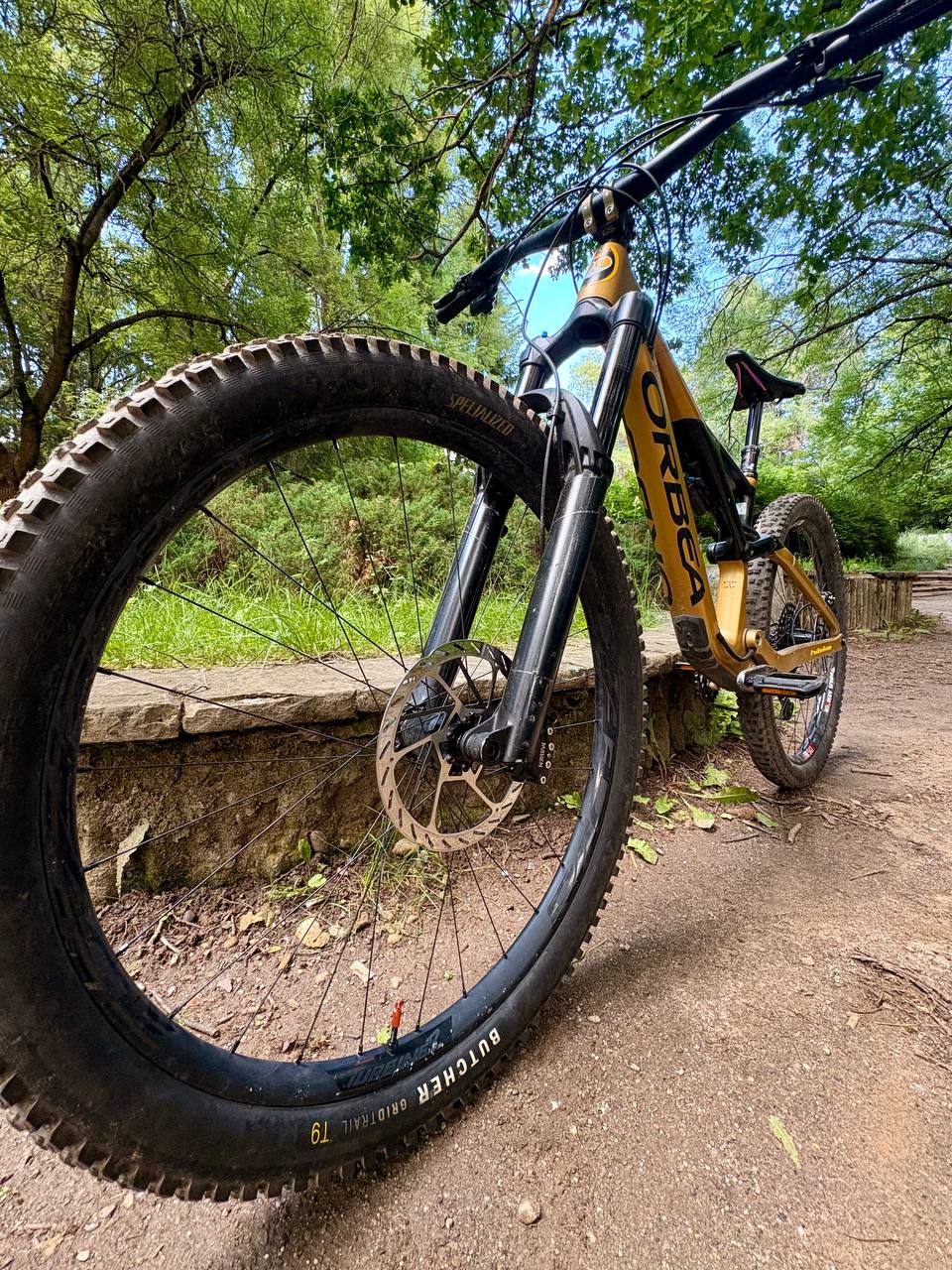 Bike view 6