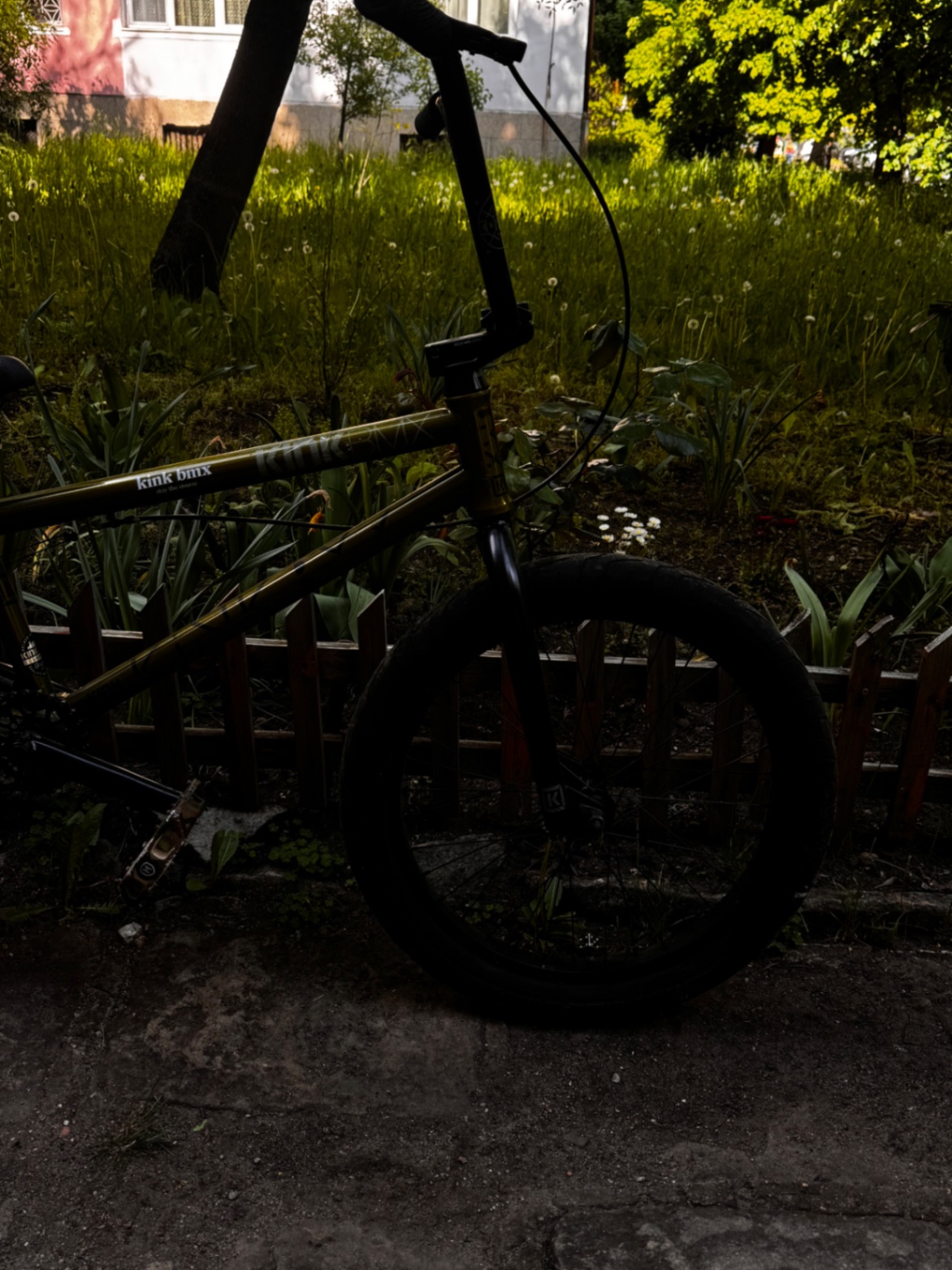 Bike view 9