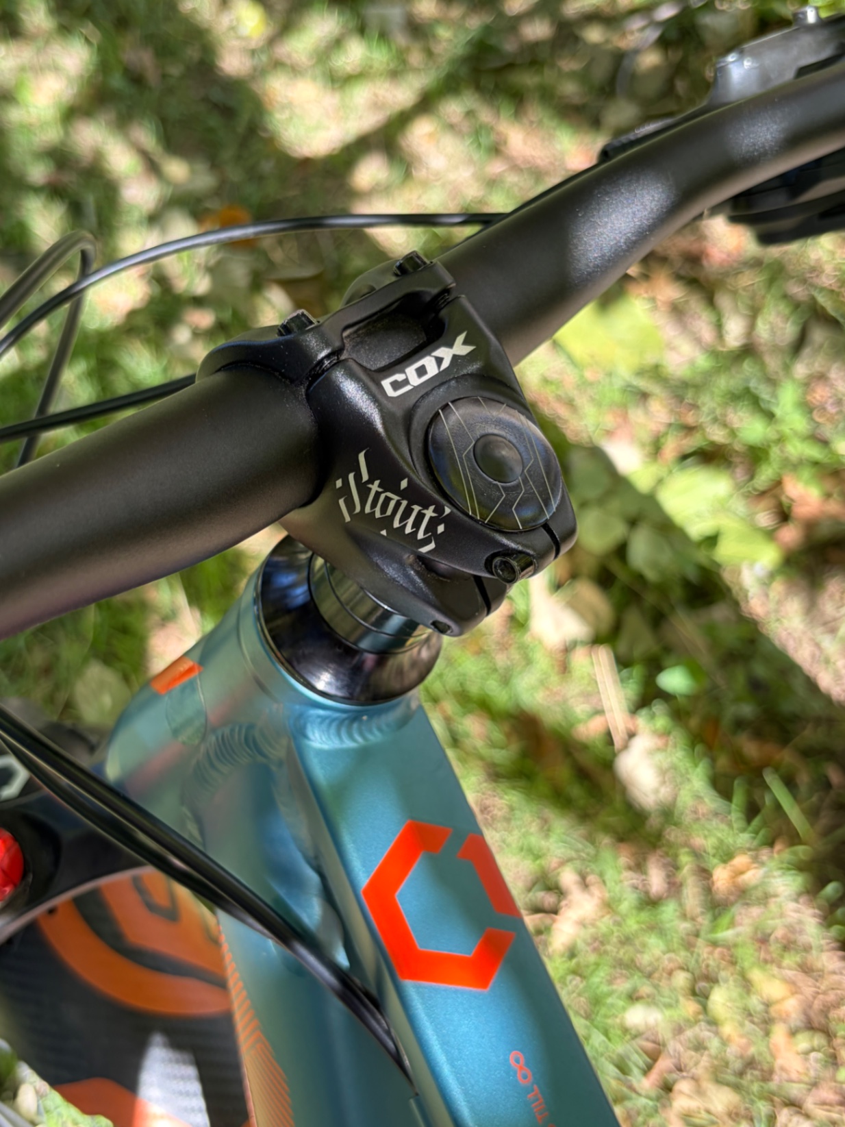 Bike view 11