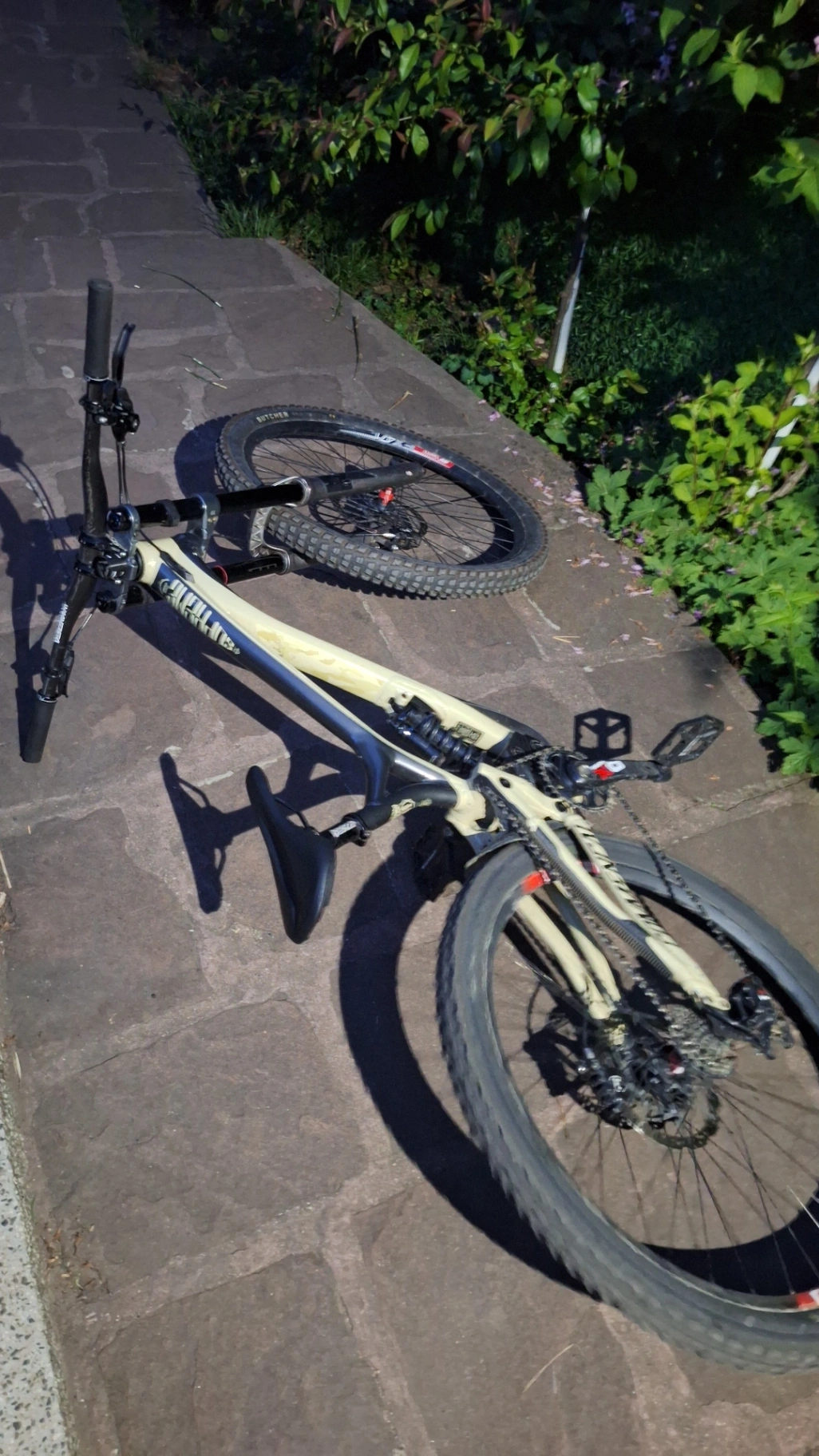 Bike view 7