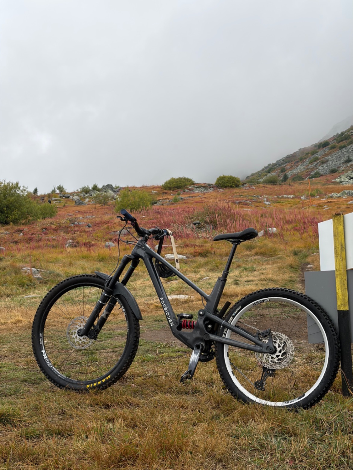 Bike view 2