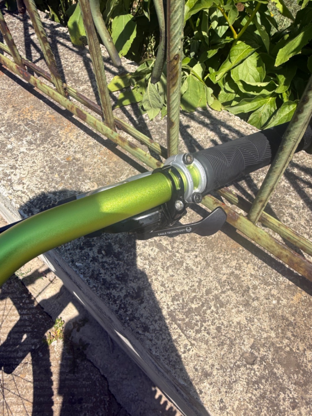Bike view 9
