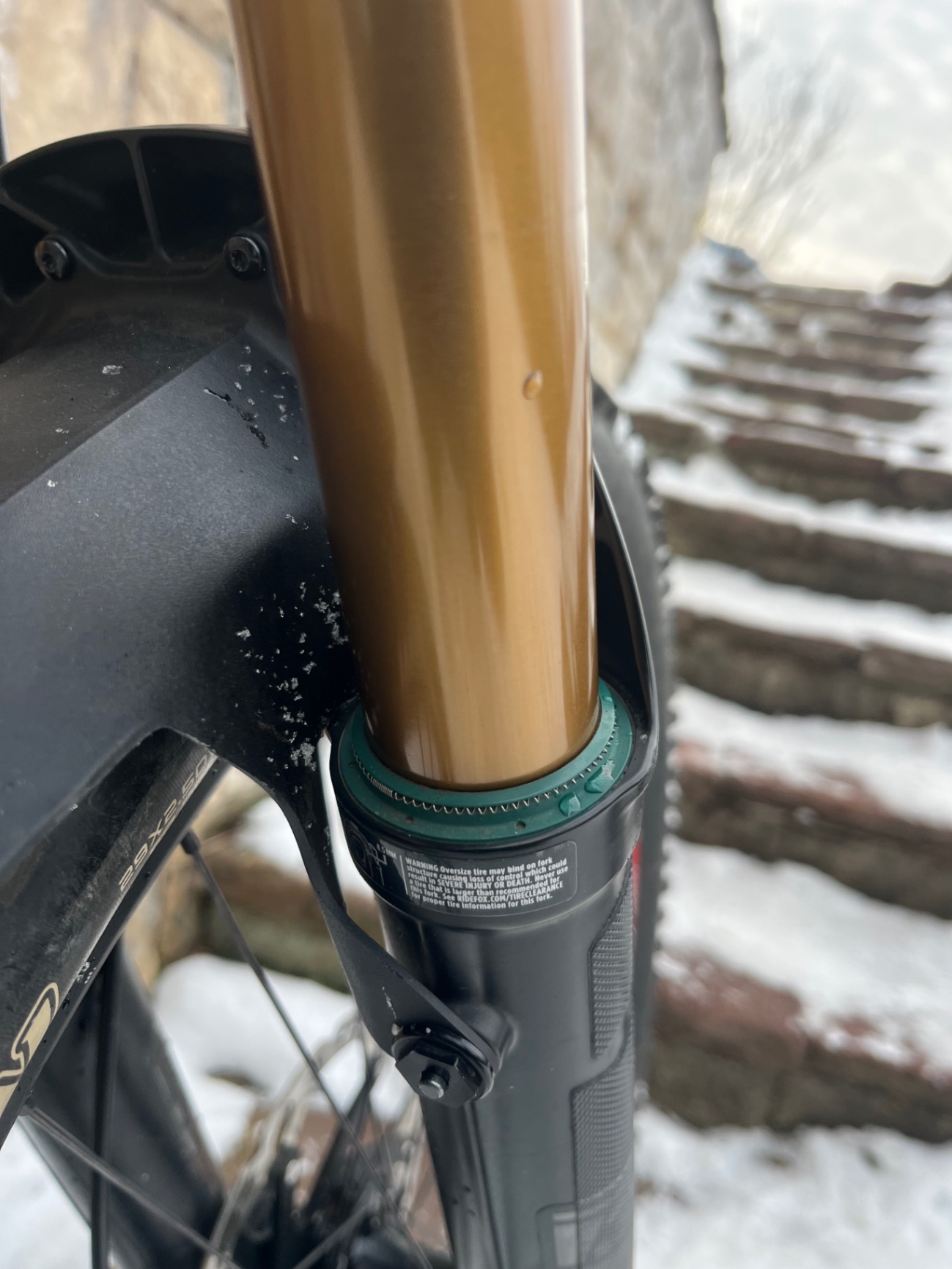Bike view 5