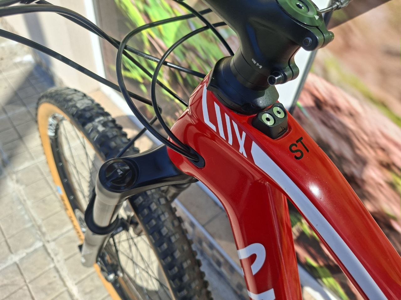 Bike view 9