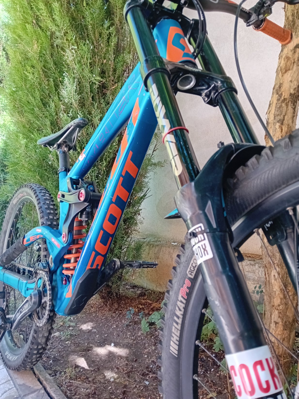 Bike view 5