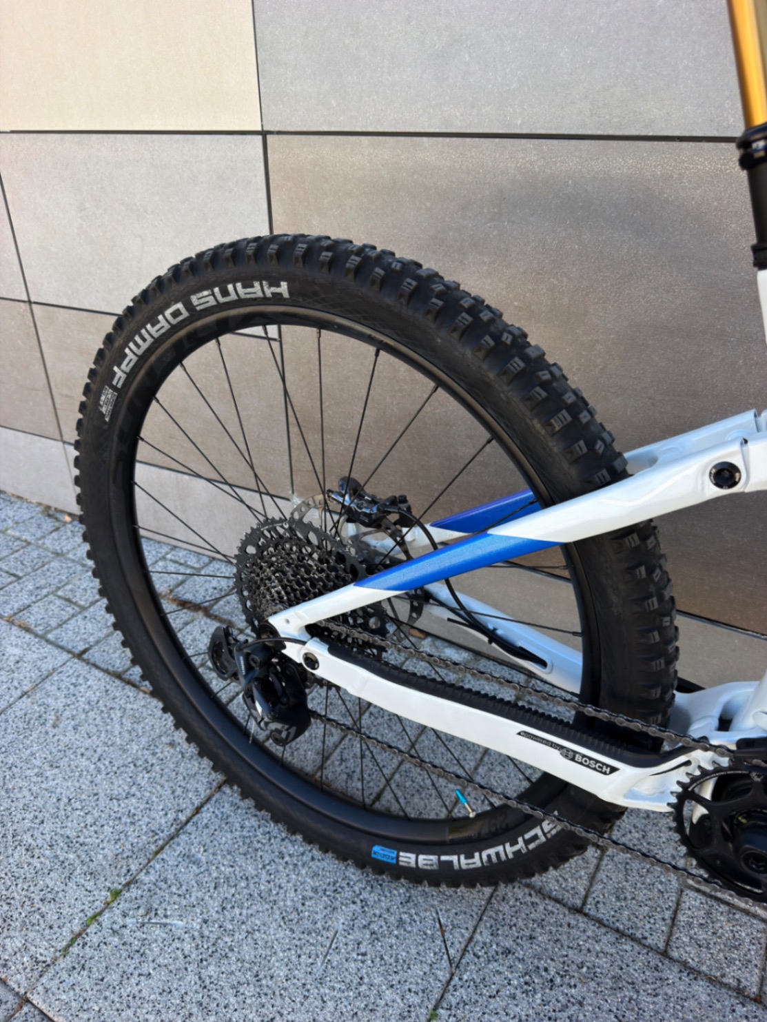 Bike view 5