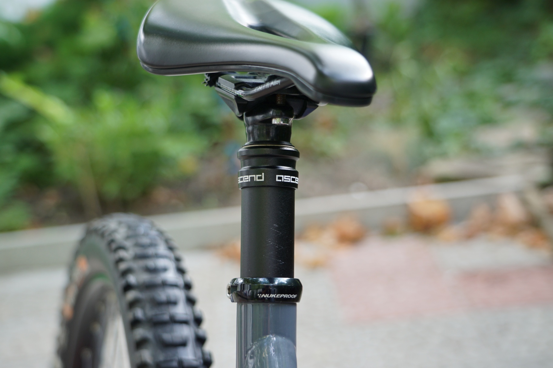 Bike view 8