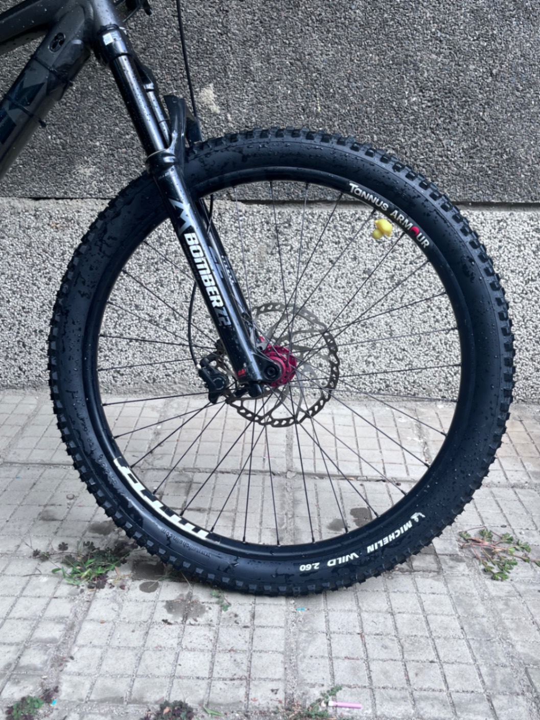 Bike view 5
