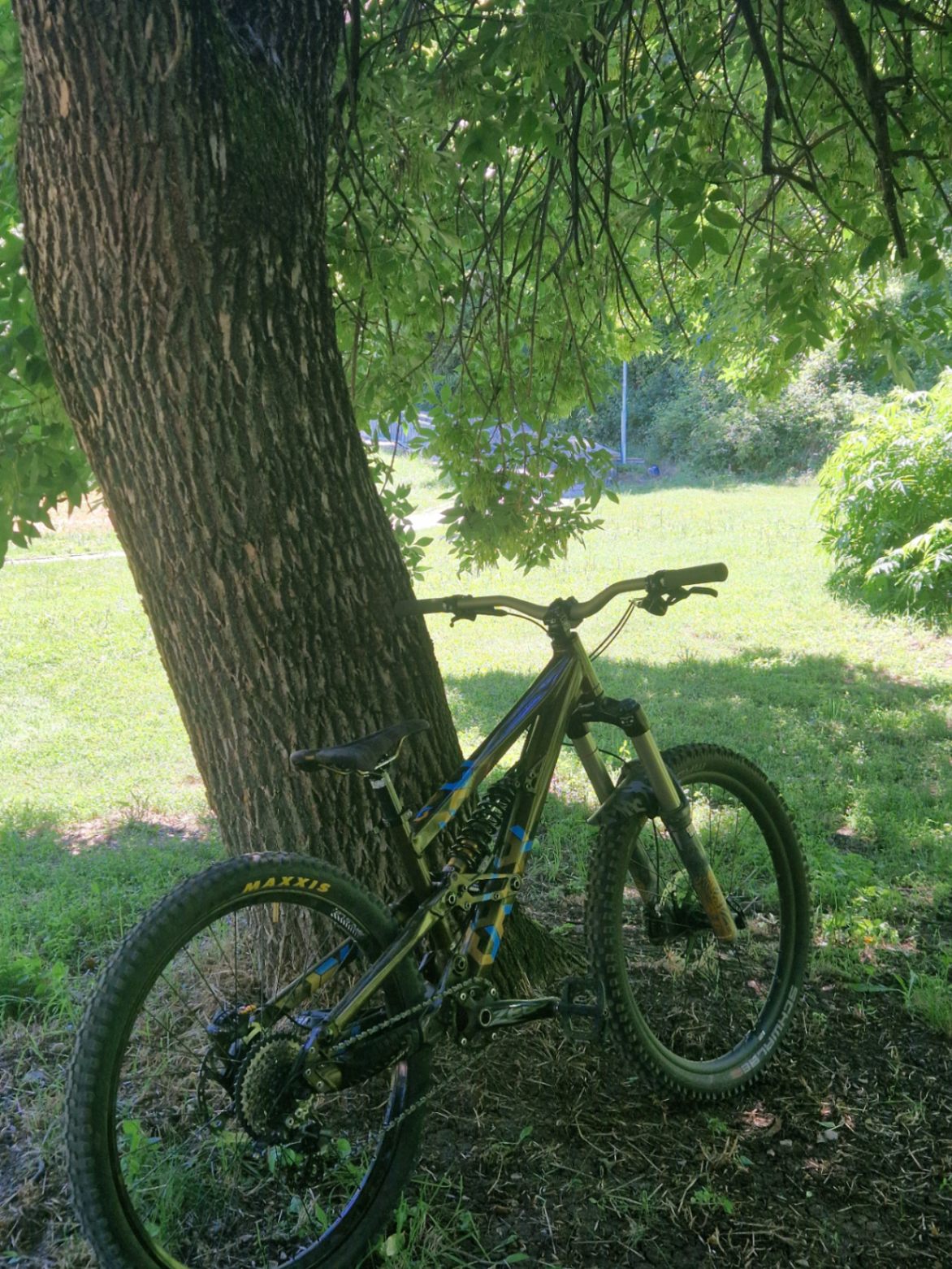 Bike view 5