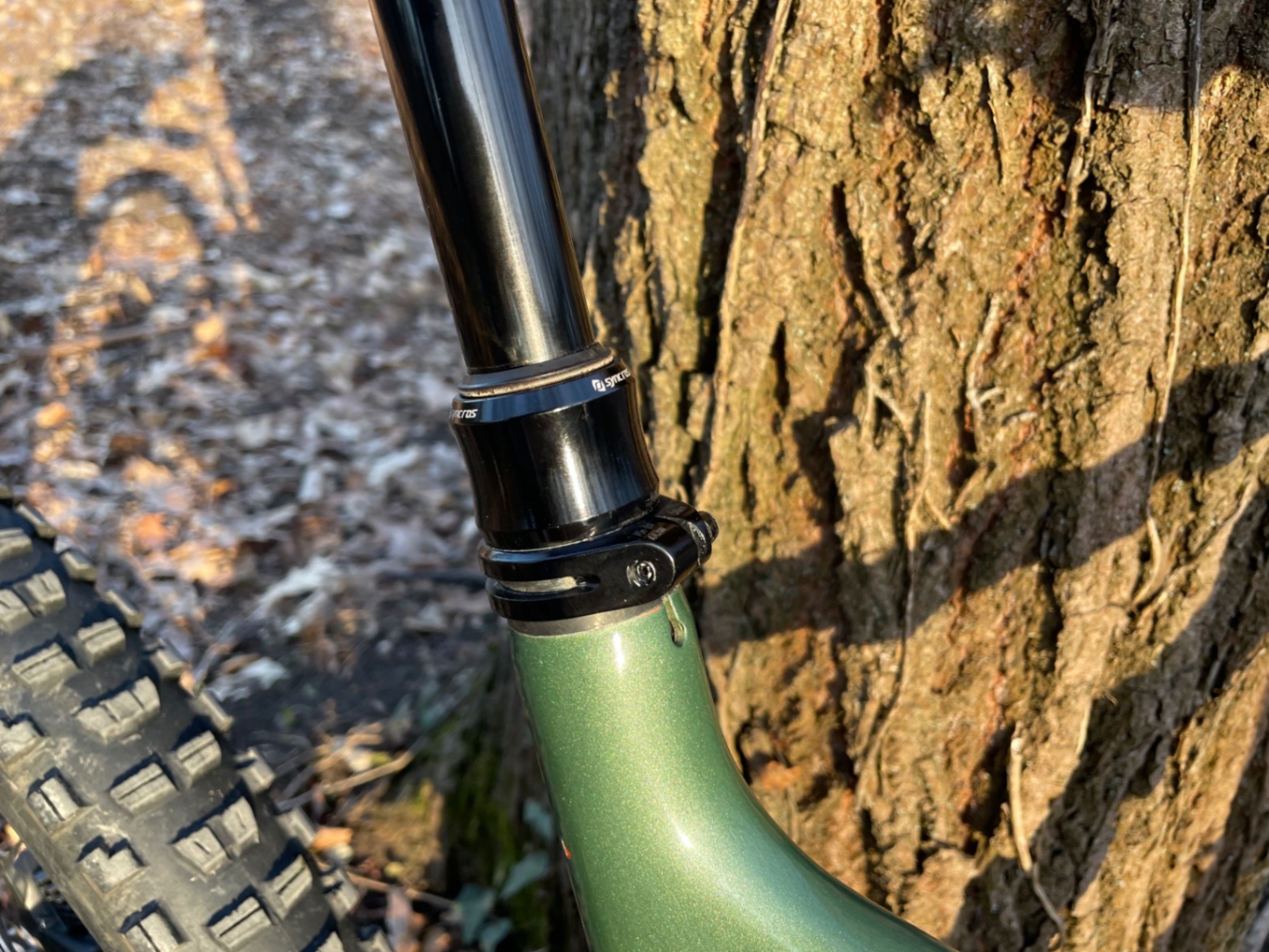 Bike view 9