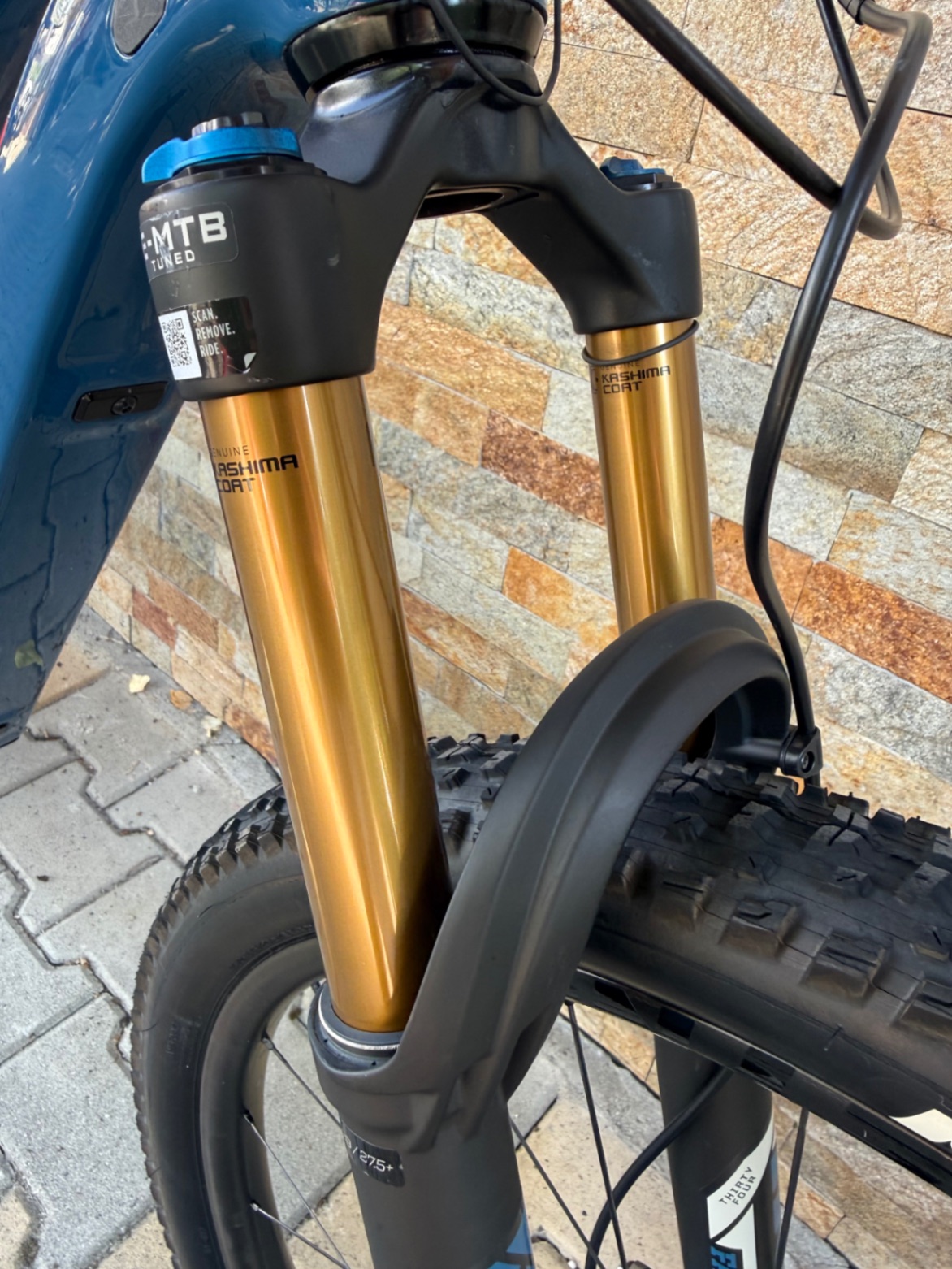 Bike view 11