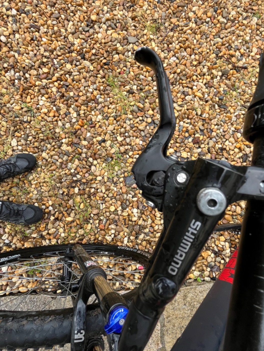 Bike view 8