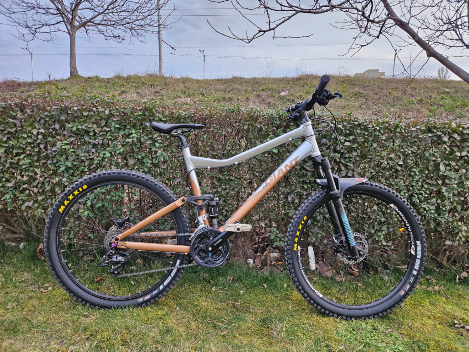 Bike view 7