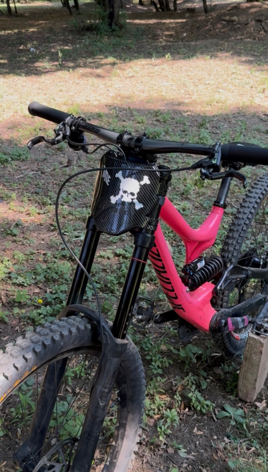 Bike view 9