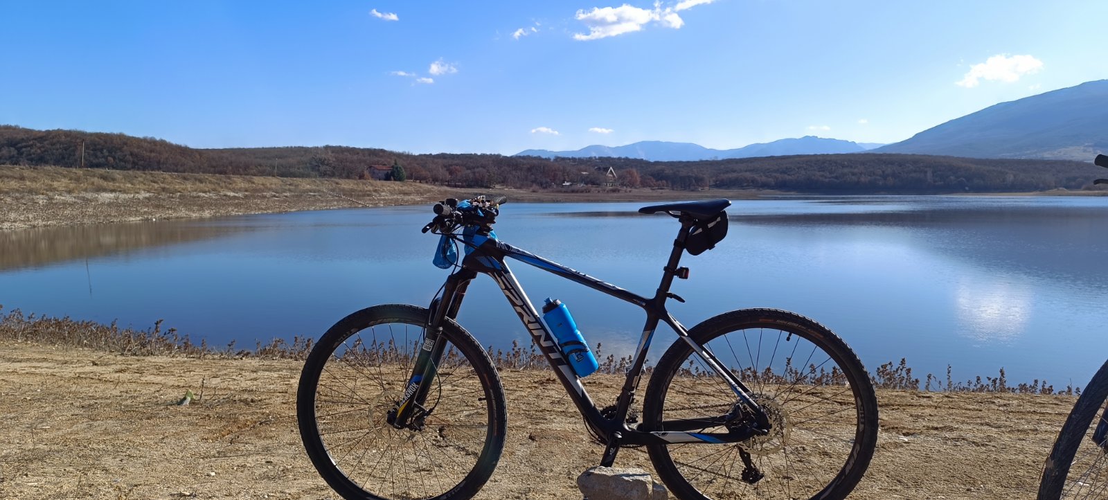 Sprint Ultimate Carbon 29