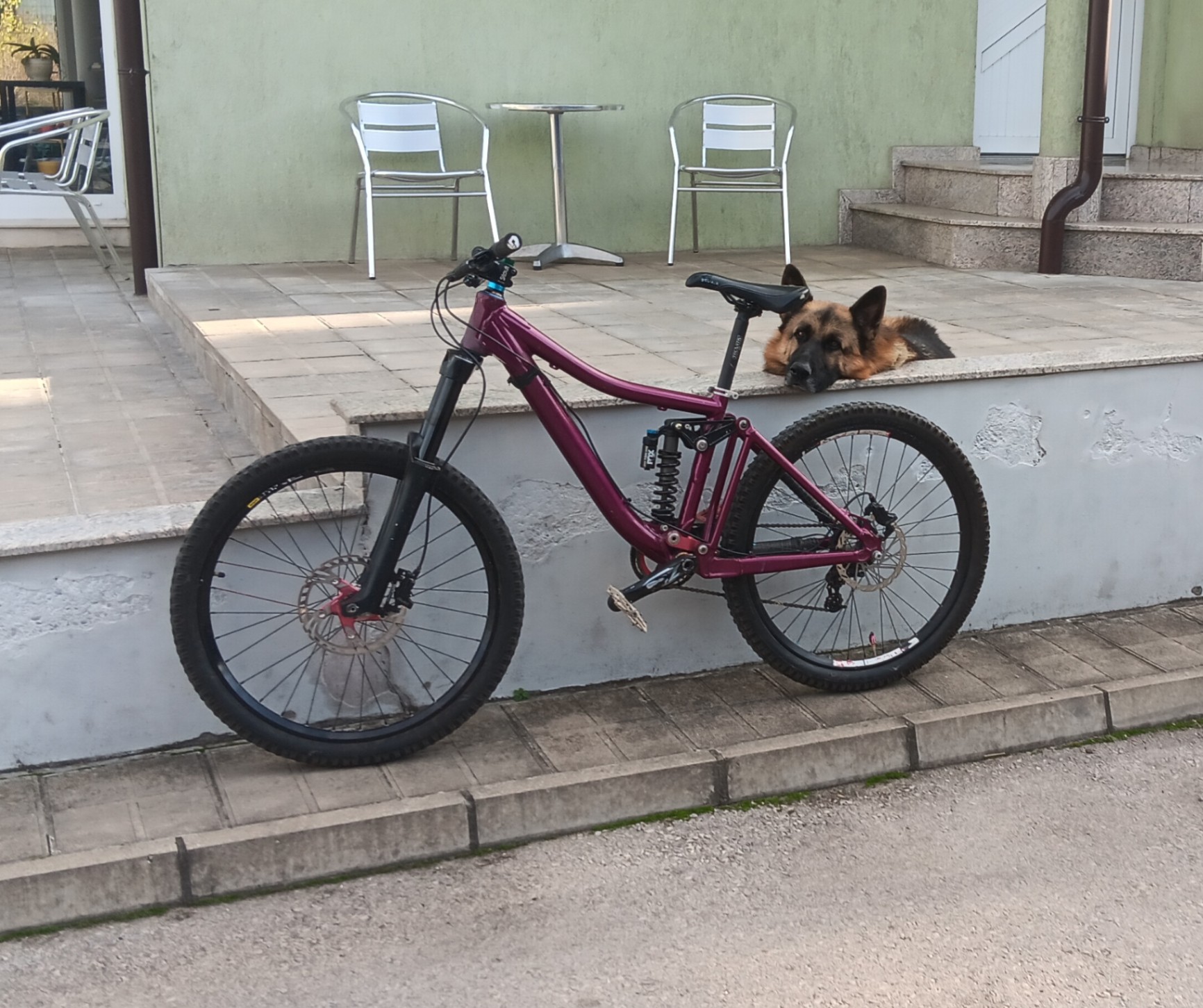Iron Horse Custom