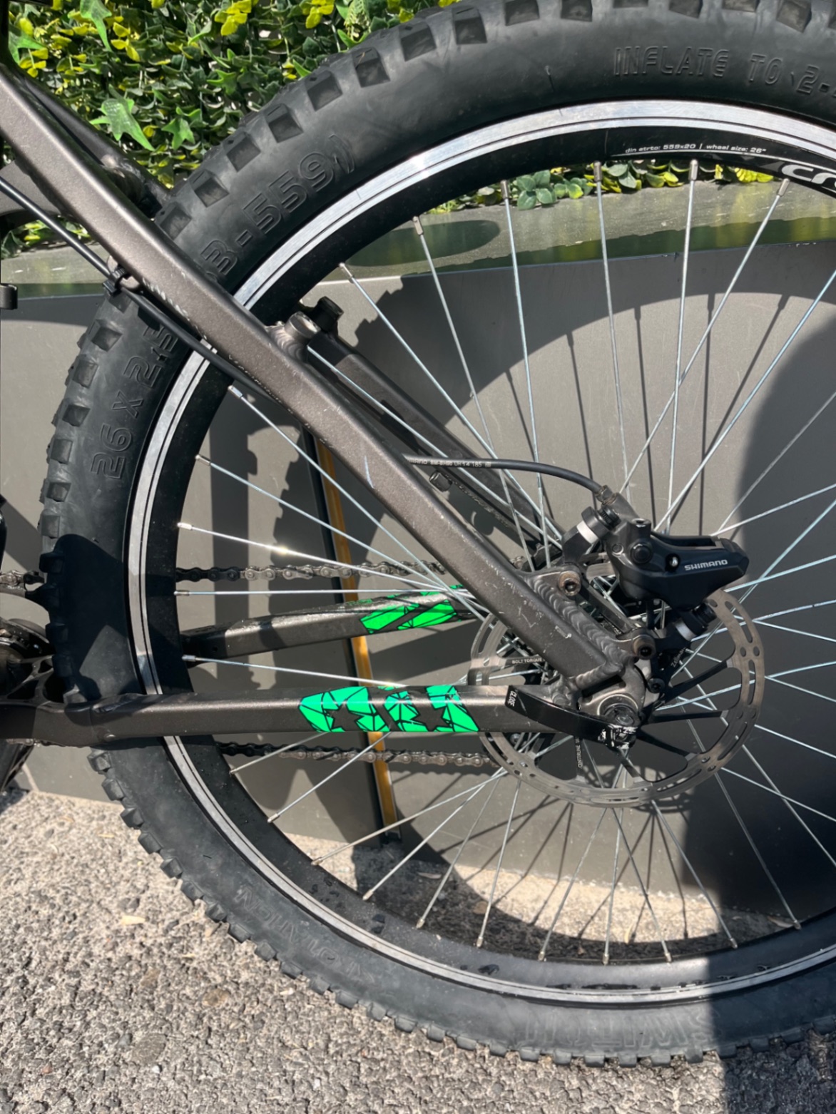 Bike view 6