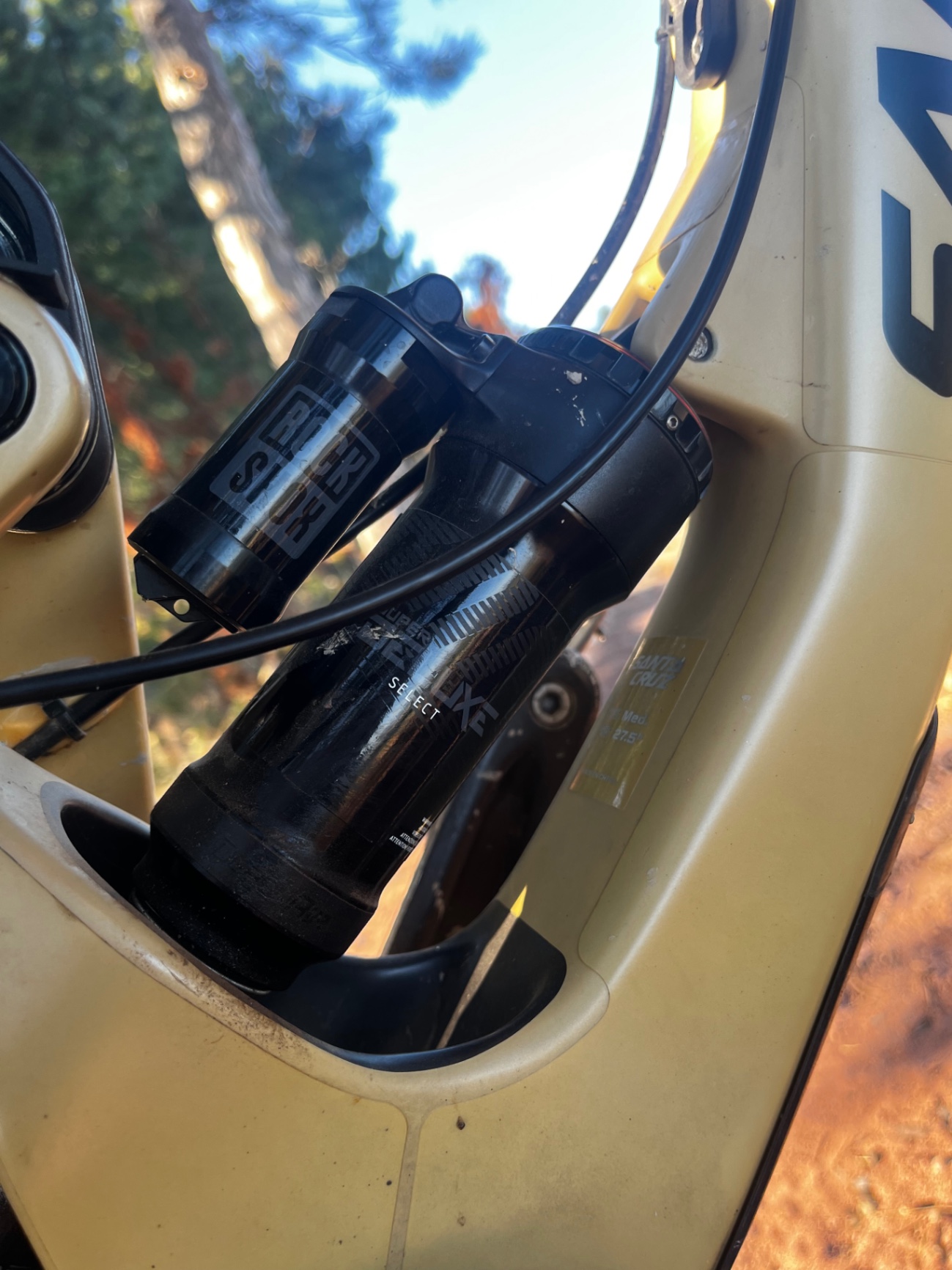 Bike view 6