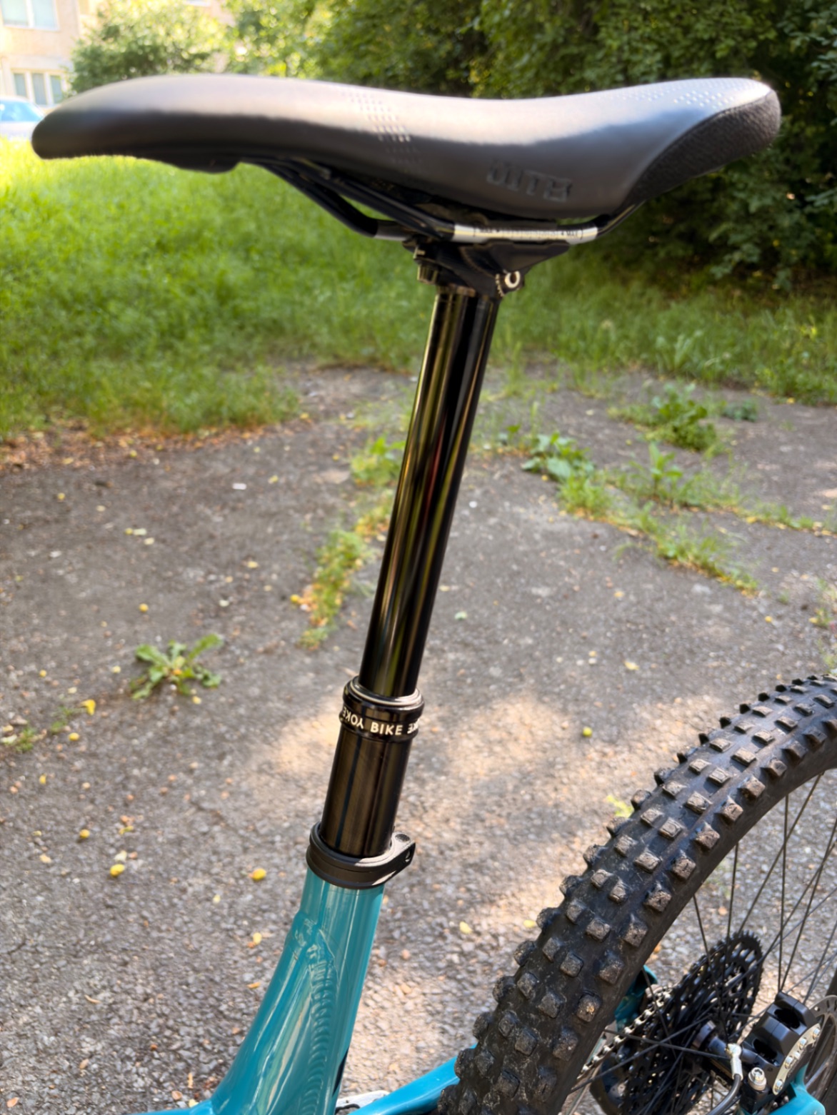 Bike view 7