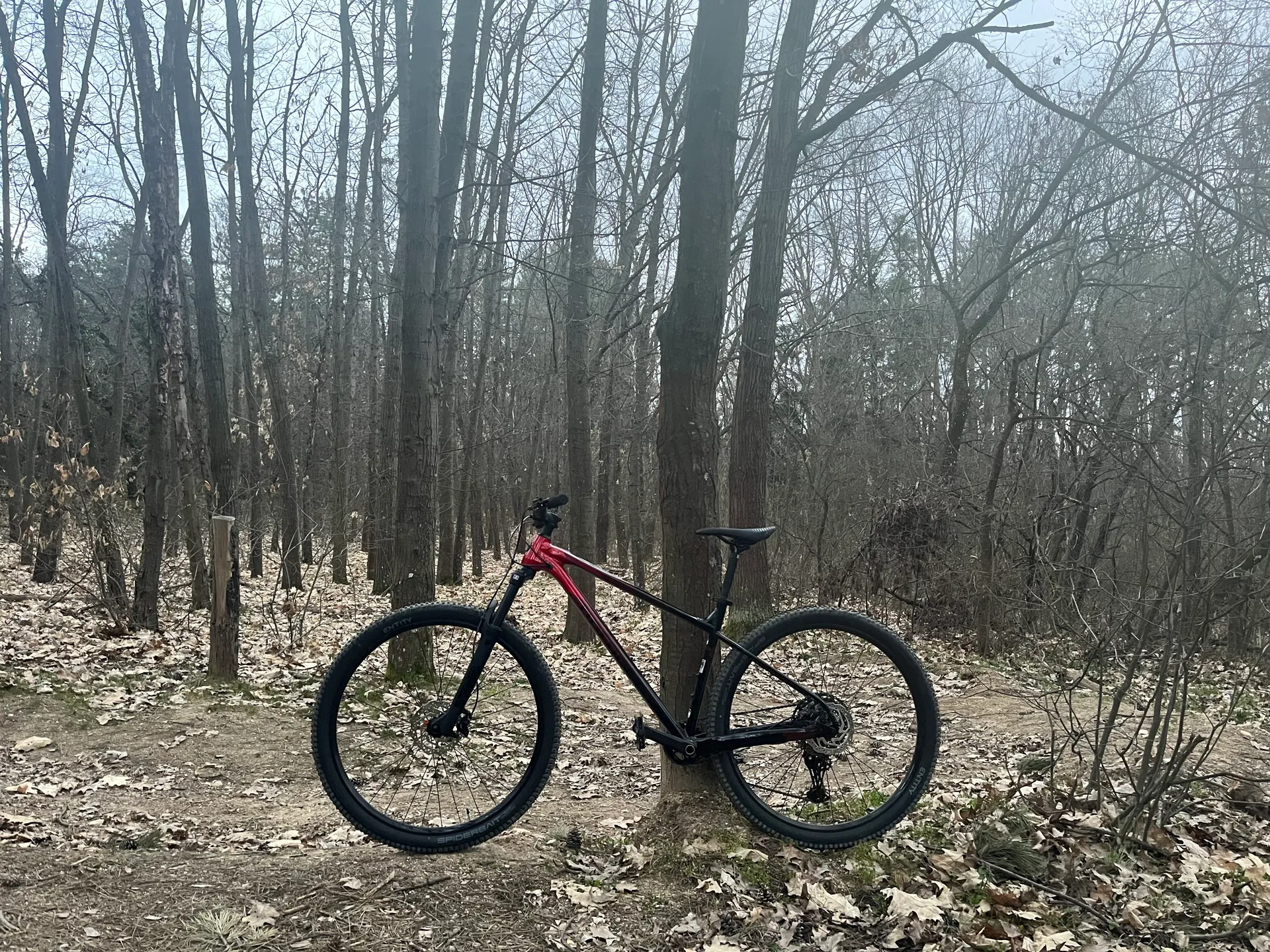 Polygon Xtrada 6 view 2