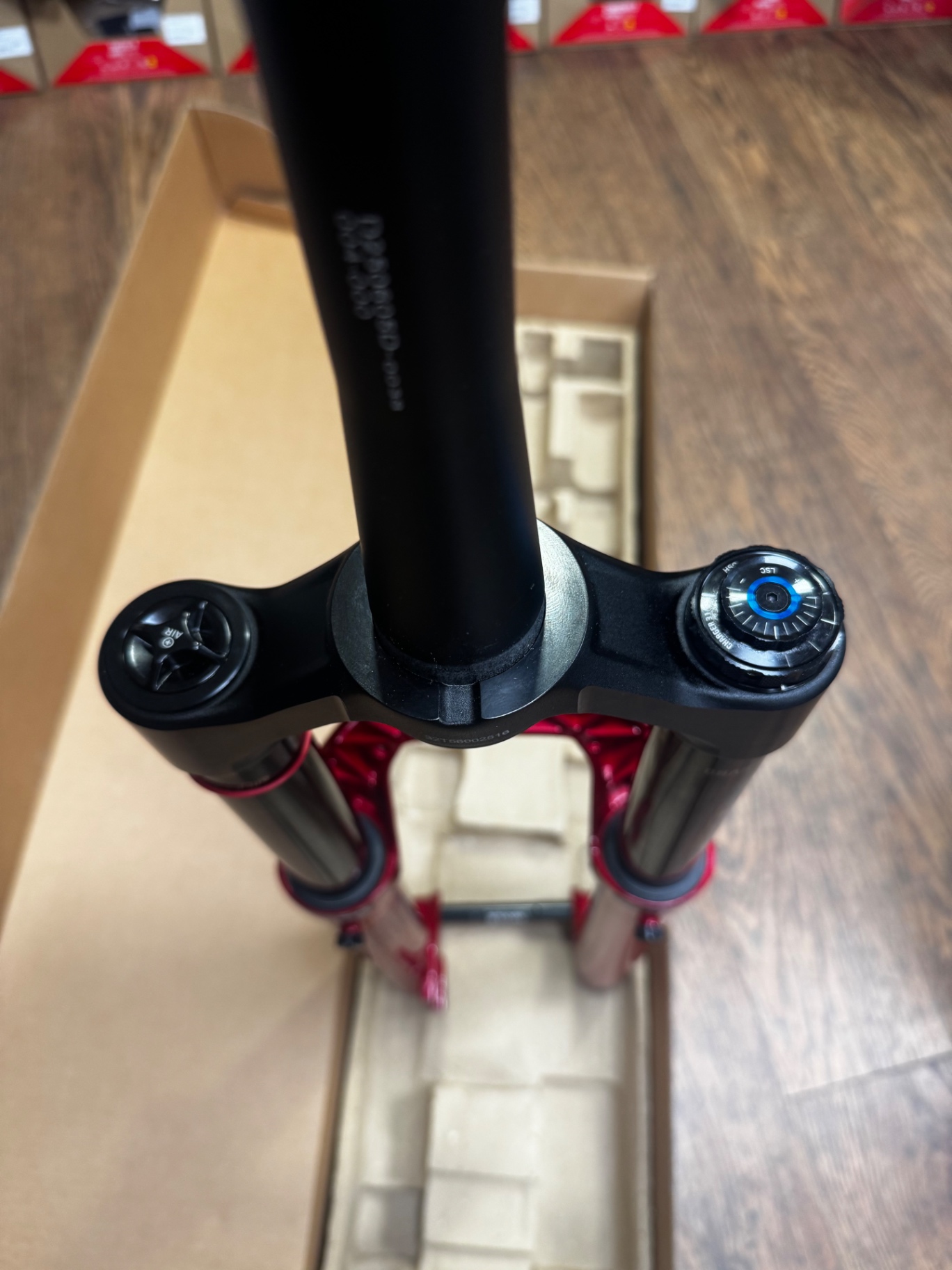 Rock Shox Zeb view 4