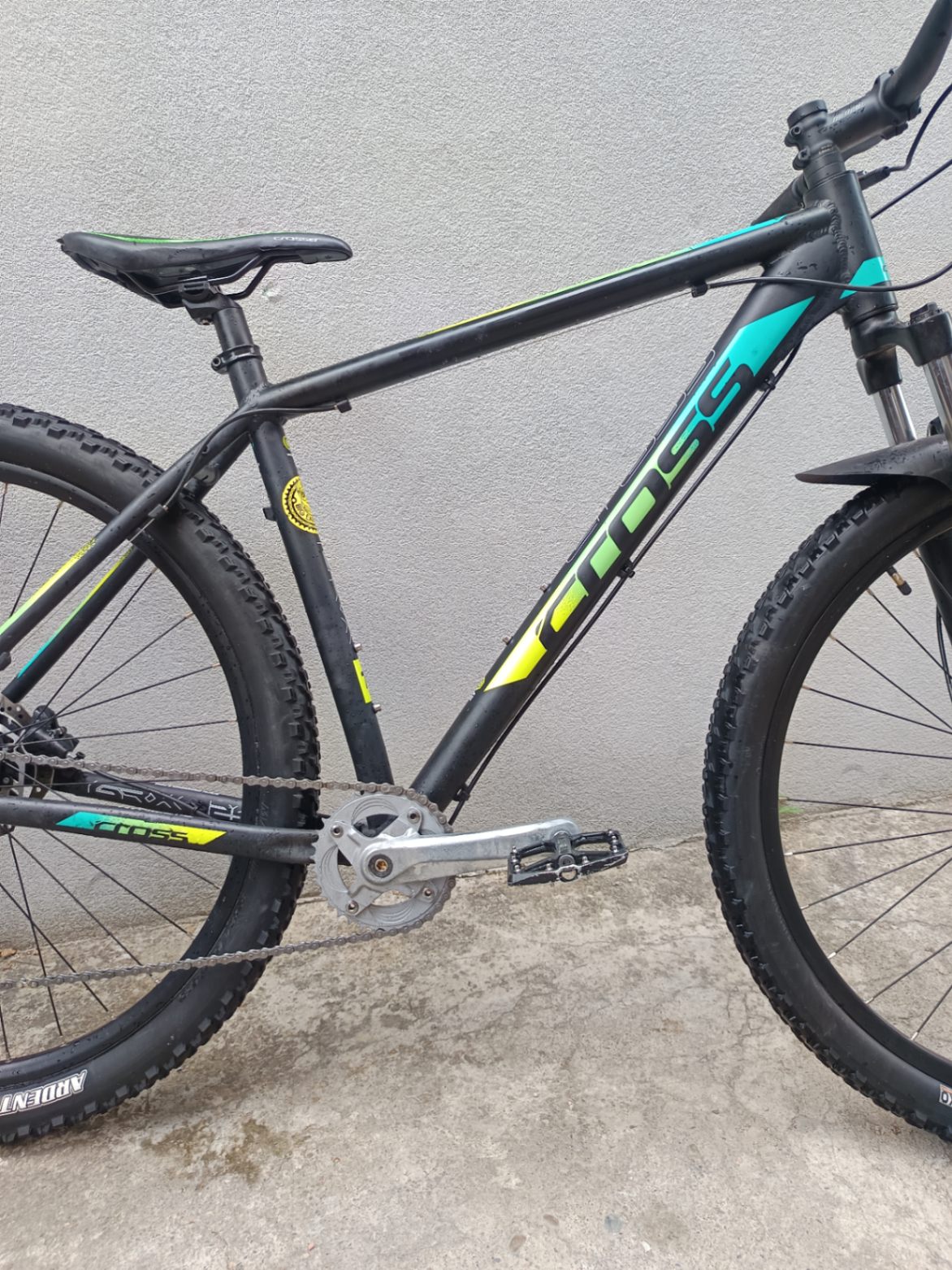 Bike view 8