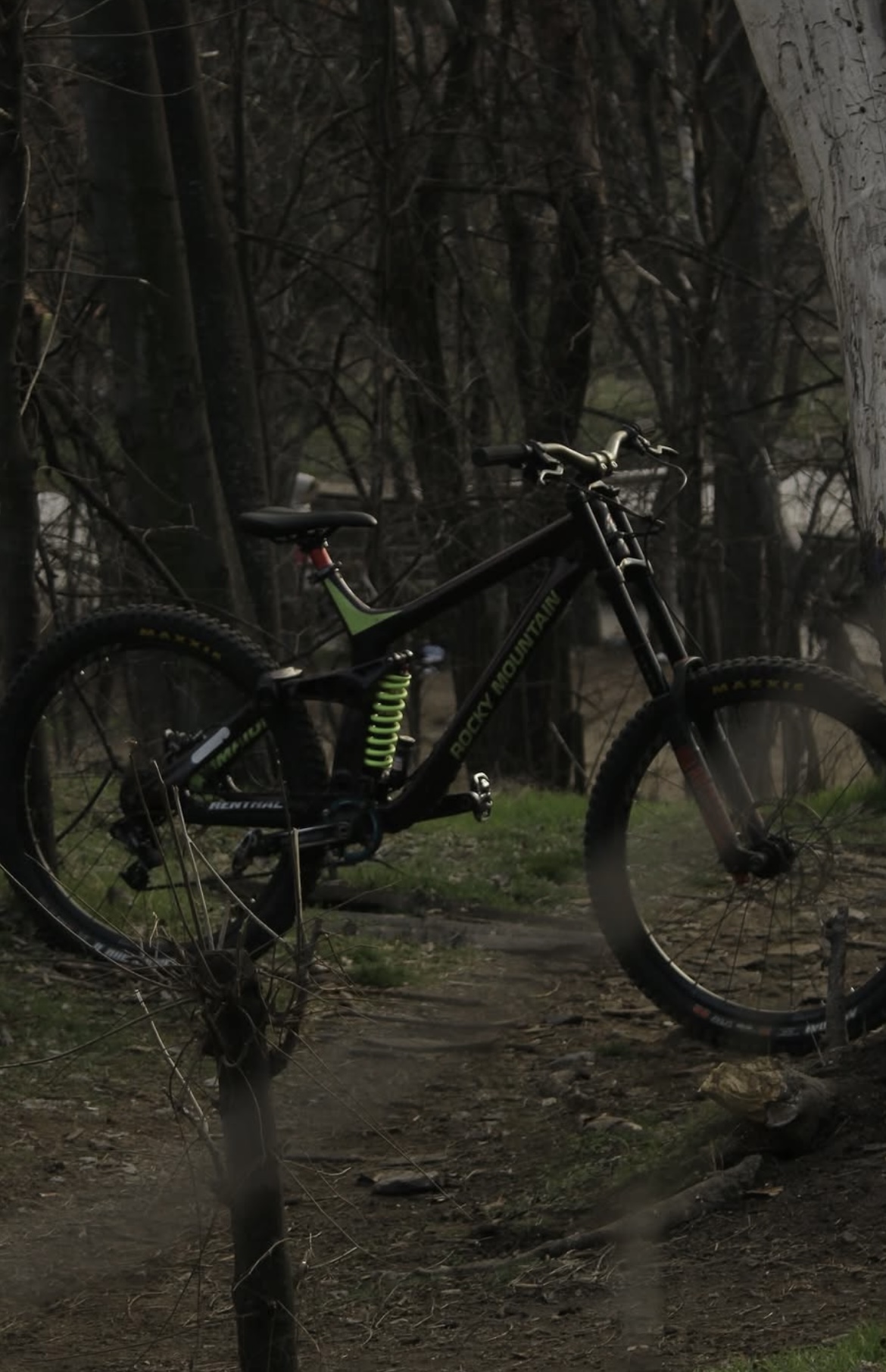 Bike view 6