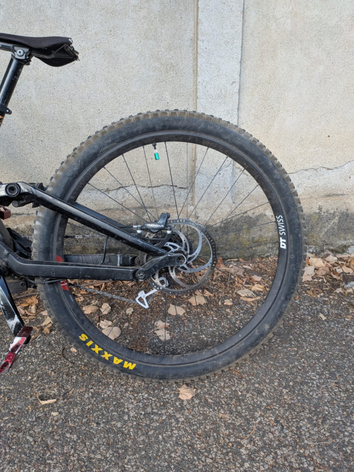 Bike view 5