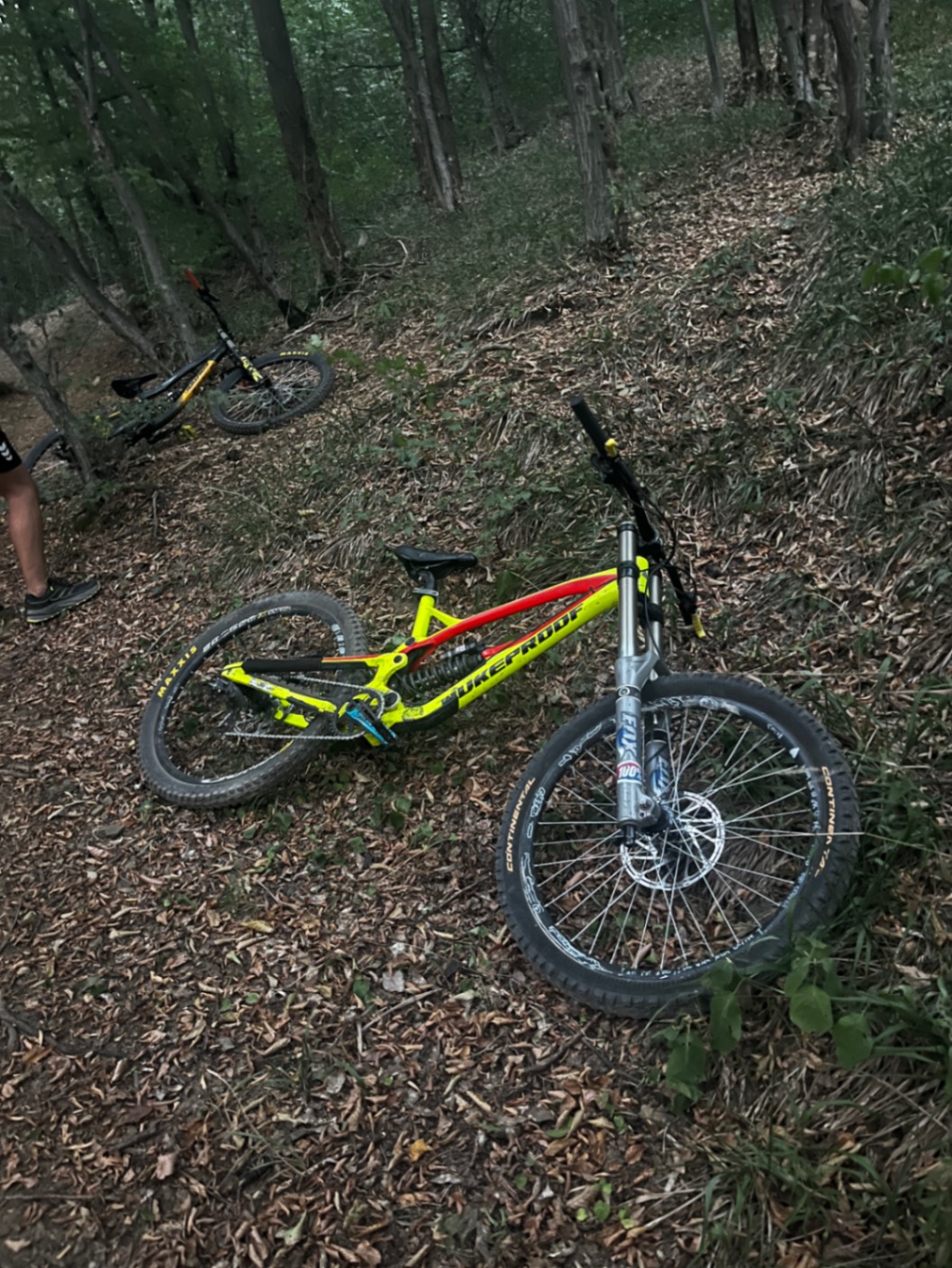 Bike view 5