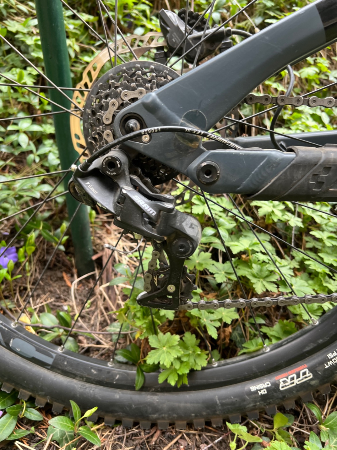 Bike view 7