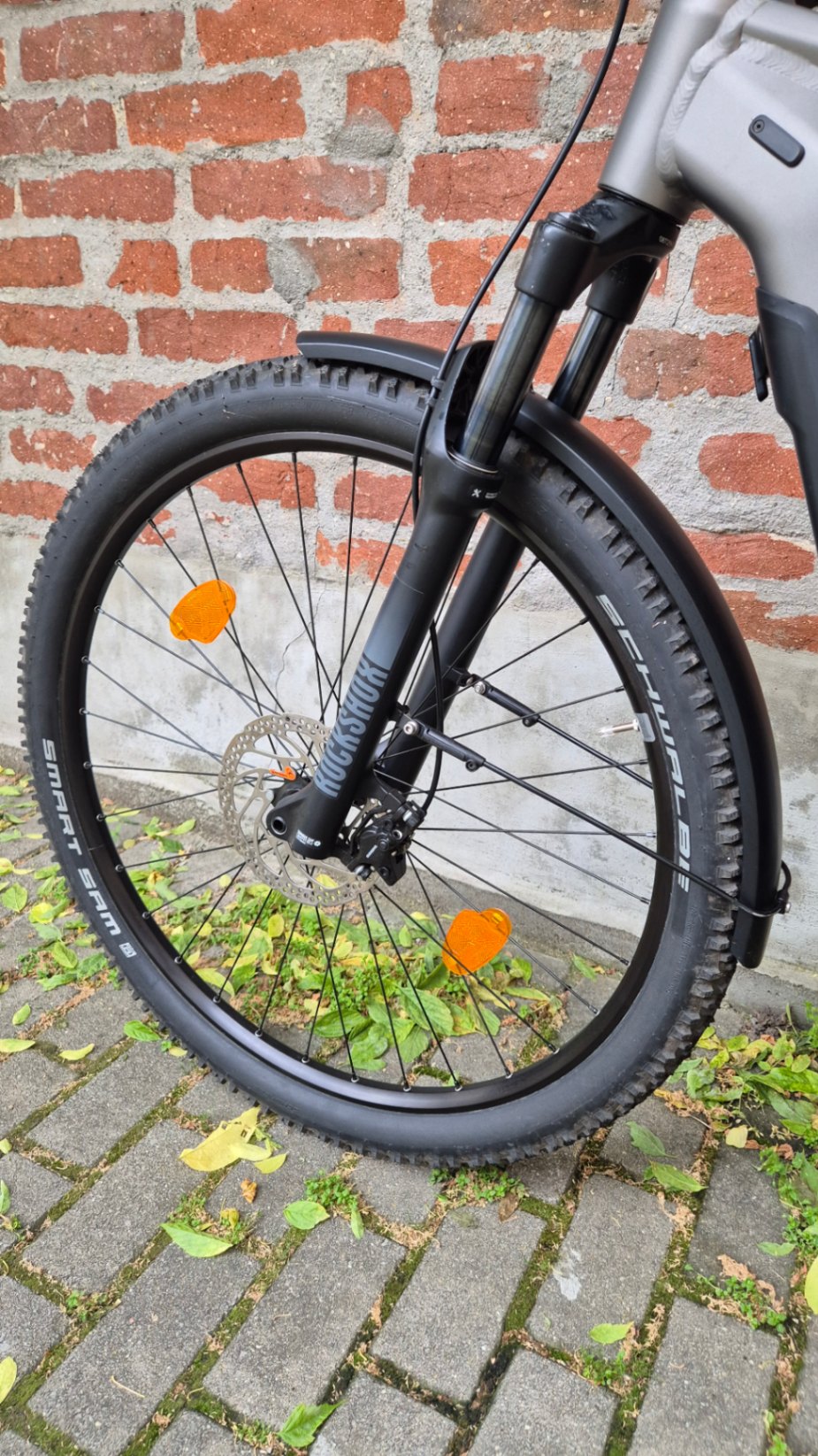 Bike view 10