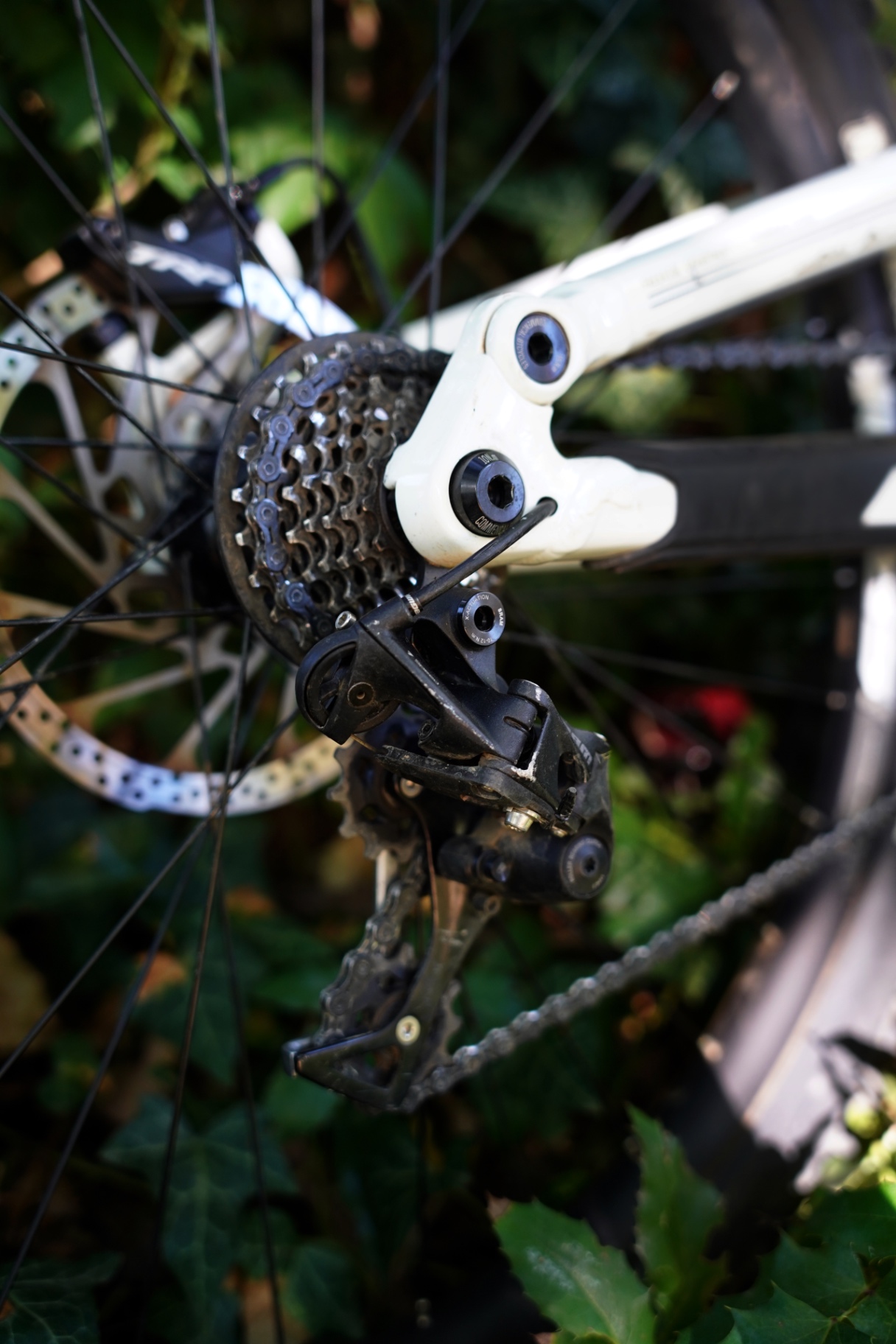 Bike view 9
